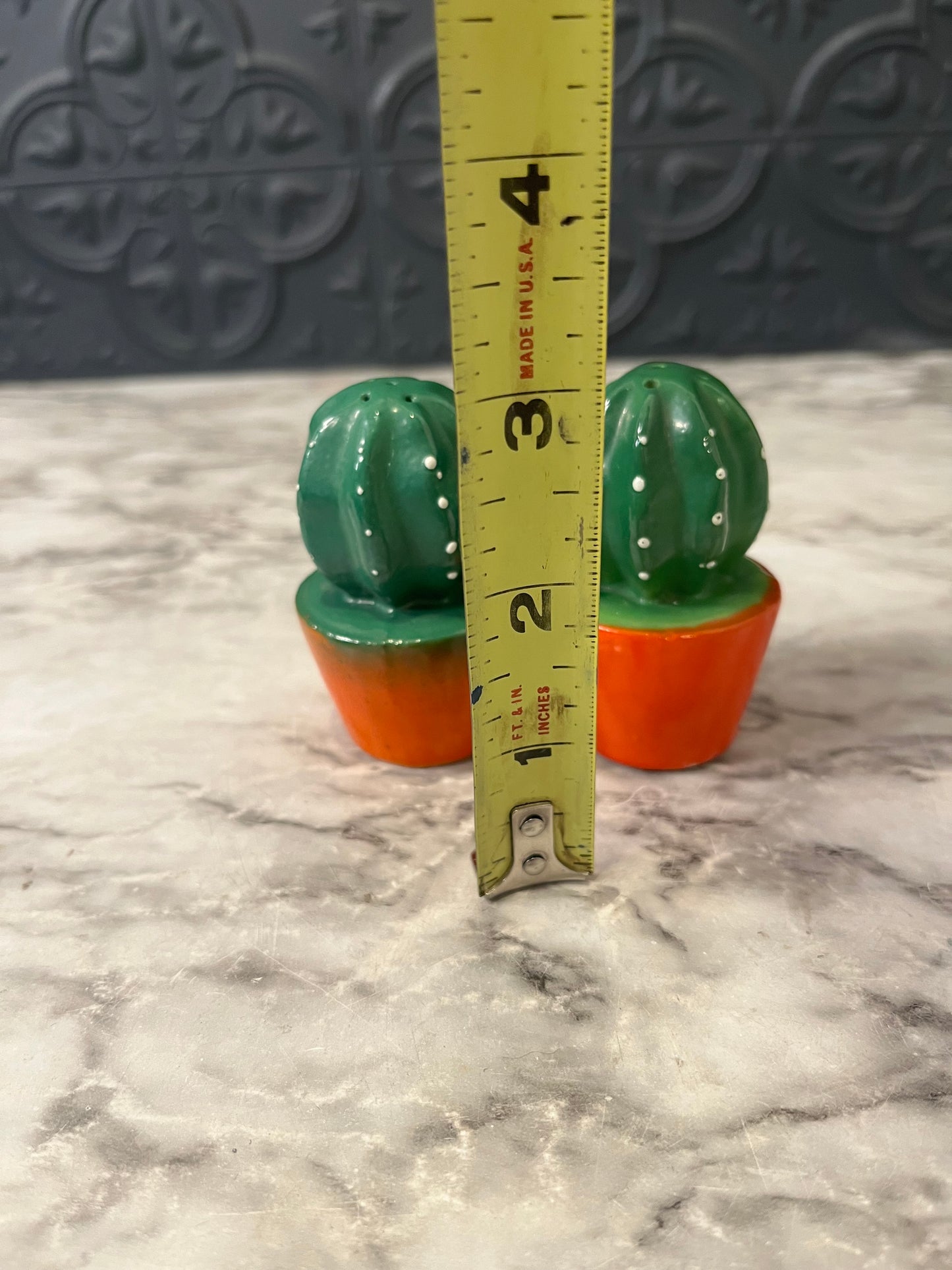 Small Cactus S & P