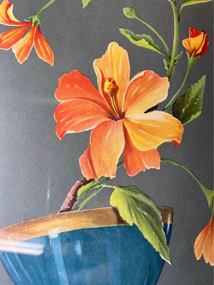 Orange flowers in pot print