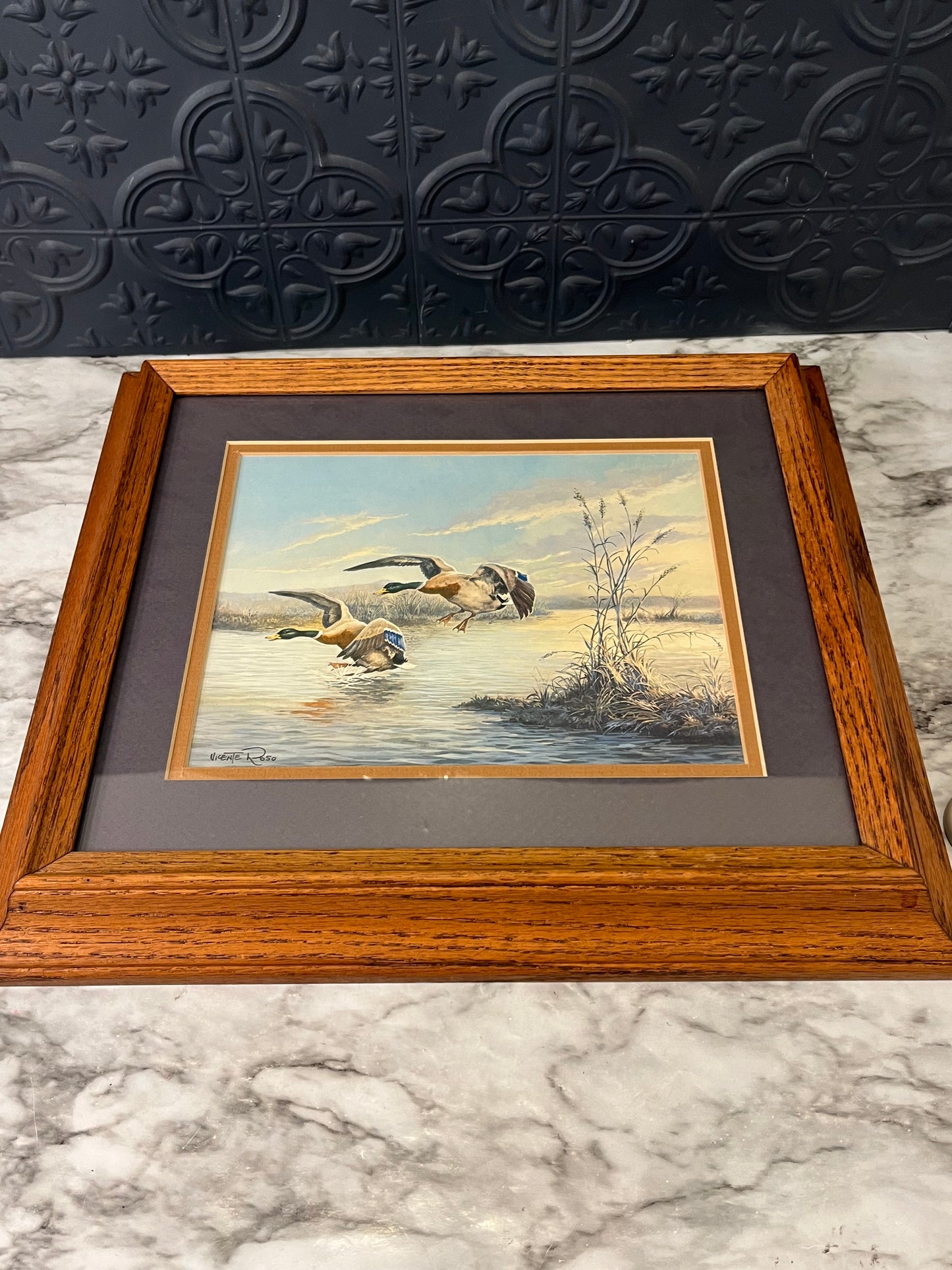 Duck Landing Framed Print