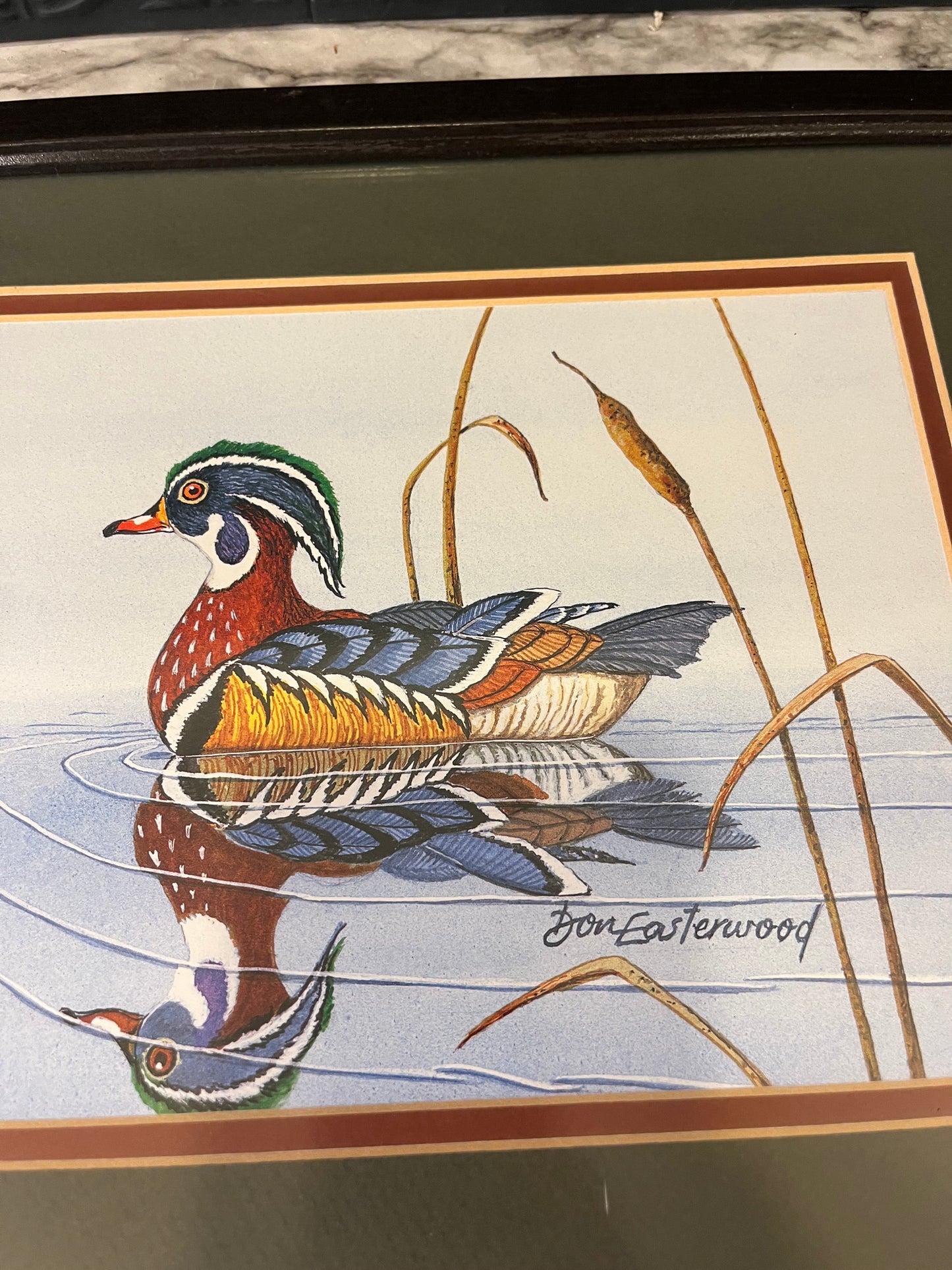 Home Interiors Don Easterwood Duck Reflection Print