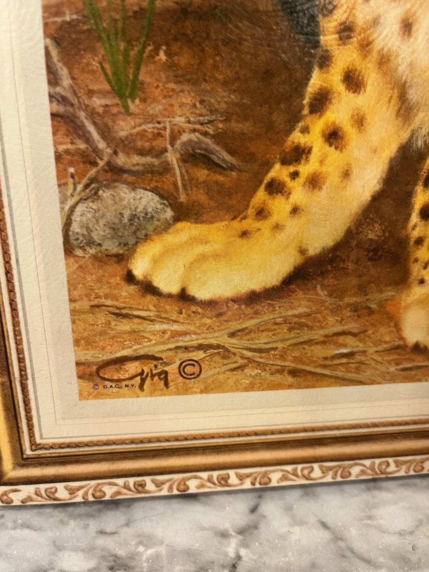 Vintage Big Eye Cheetah Print on Board