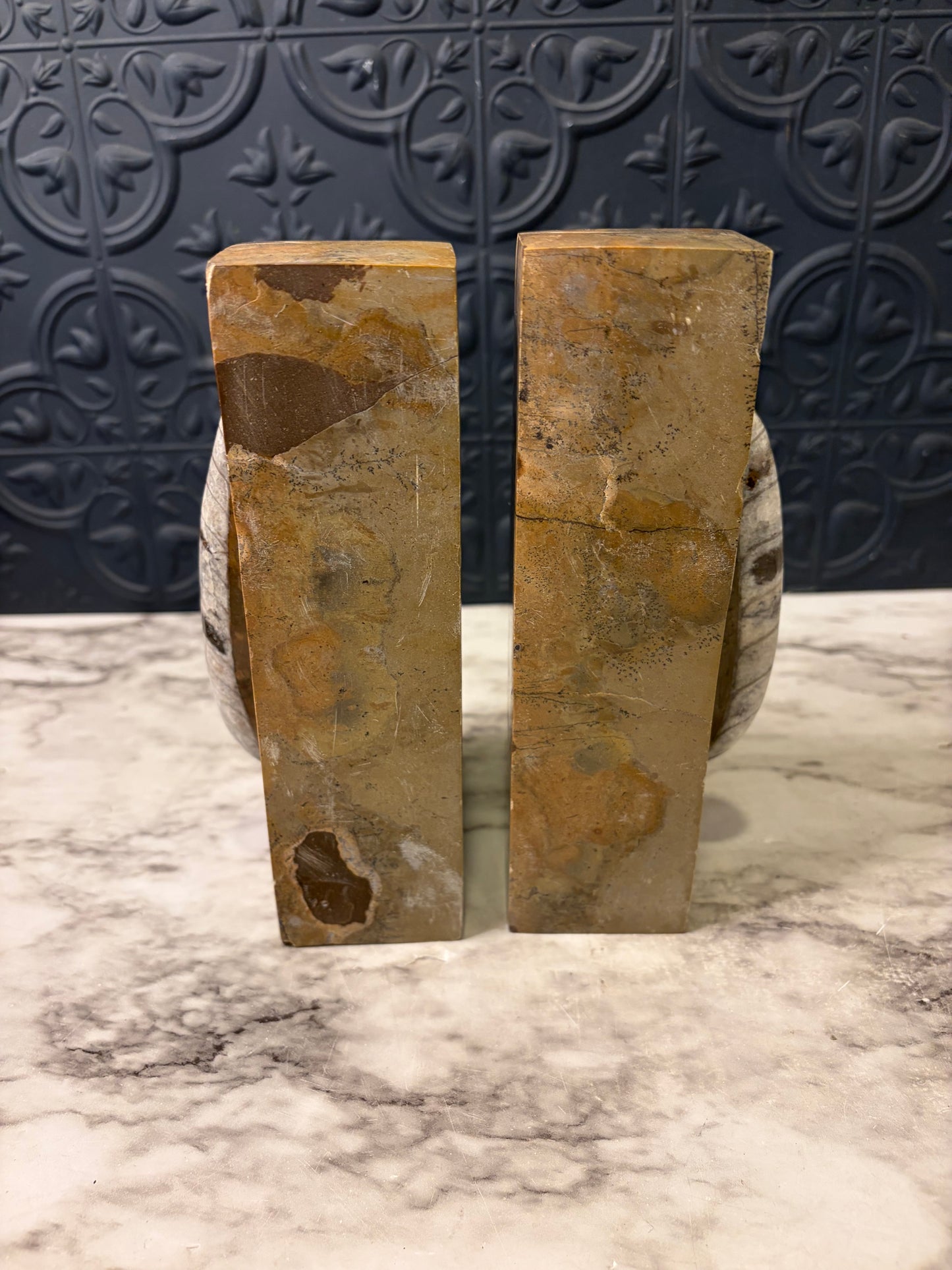 Orthoceras Fossil Bookends