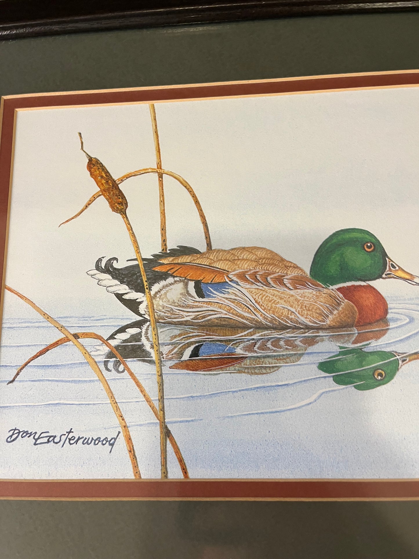 Home Interiors Don Easterwood Mallard Reflection Print