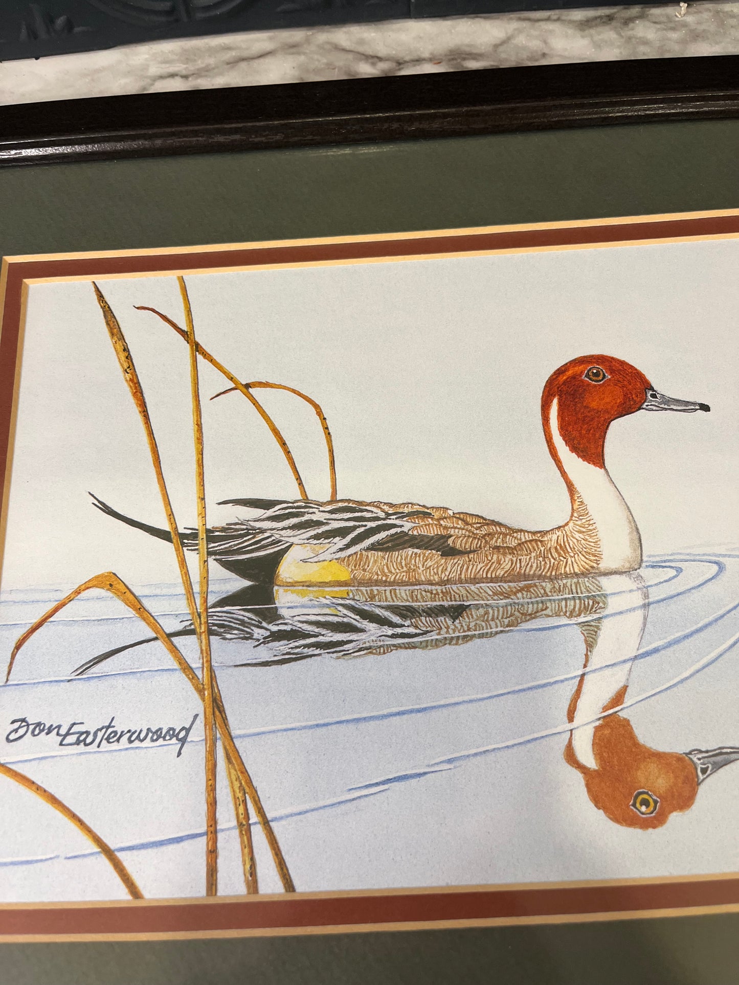 Home Interiors Don Easterwood Red Head Pintail Reflection Print