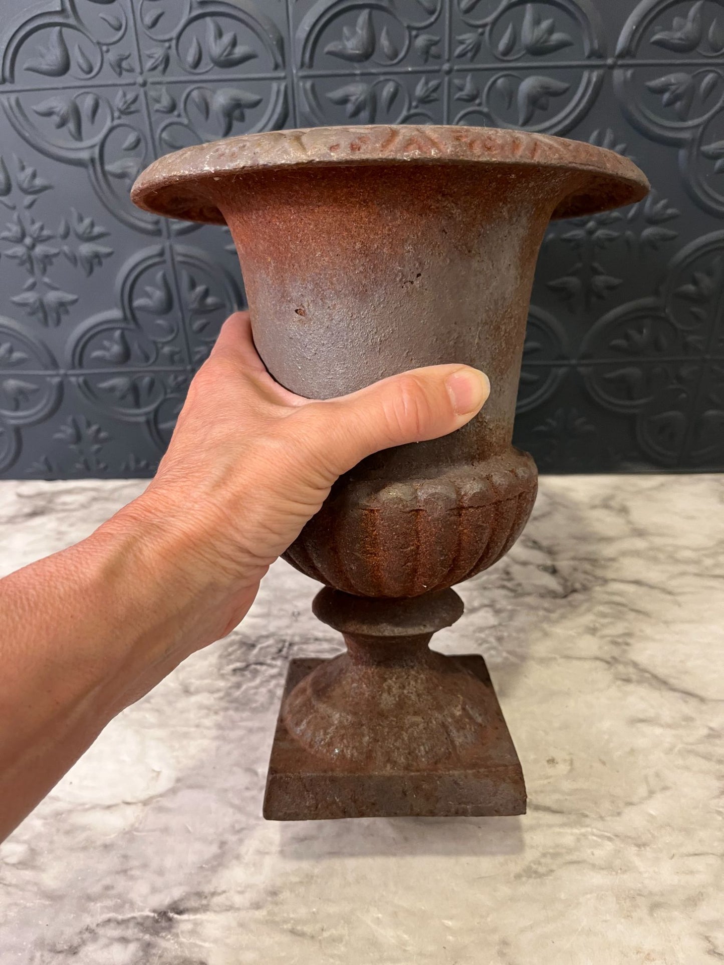 Heavy Cast Iron Trophy Planter