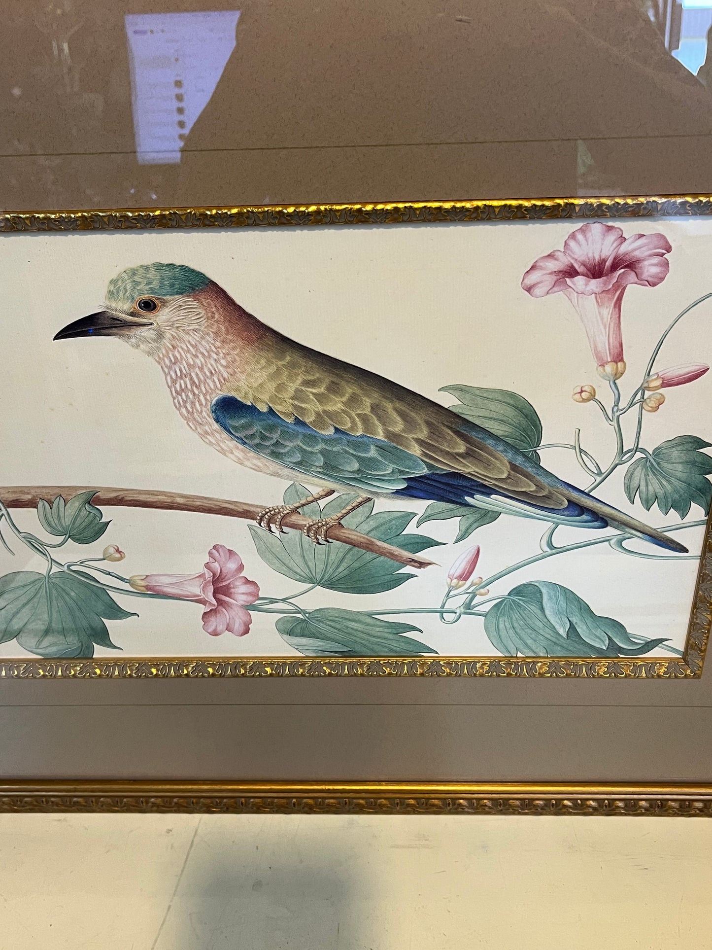 Large Framed Bird Print by Mary Evans Pink Flowers