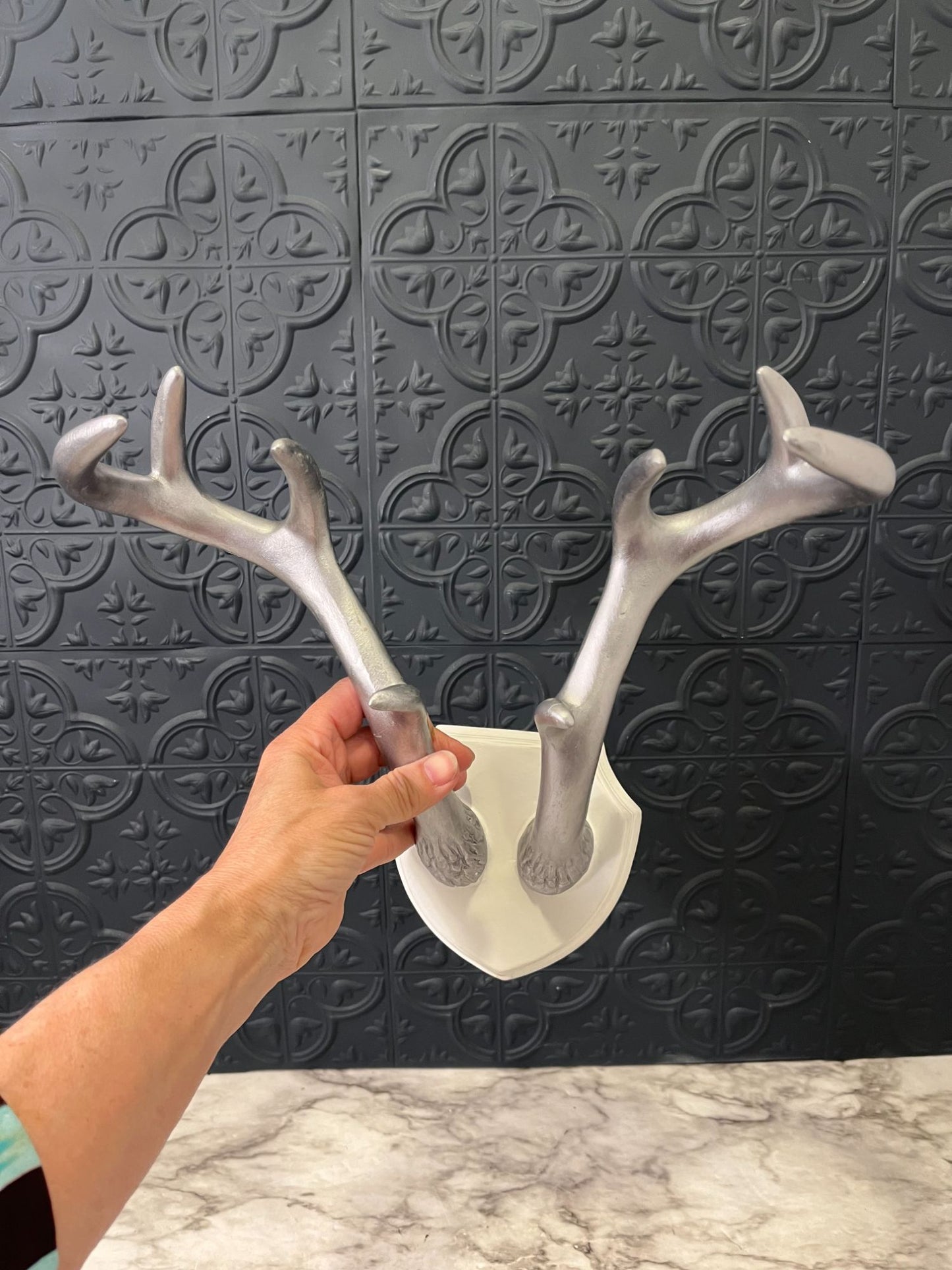 White and Silver Wall mount Antlers