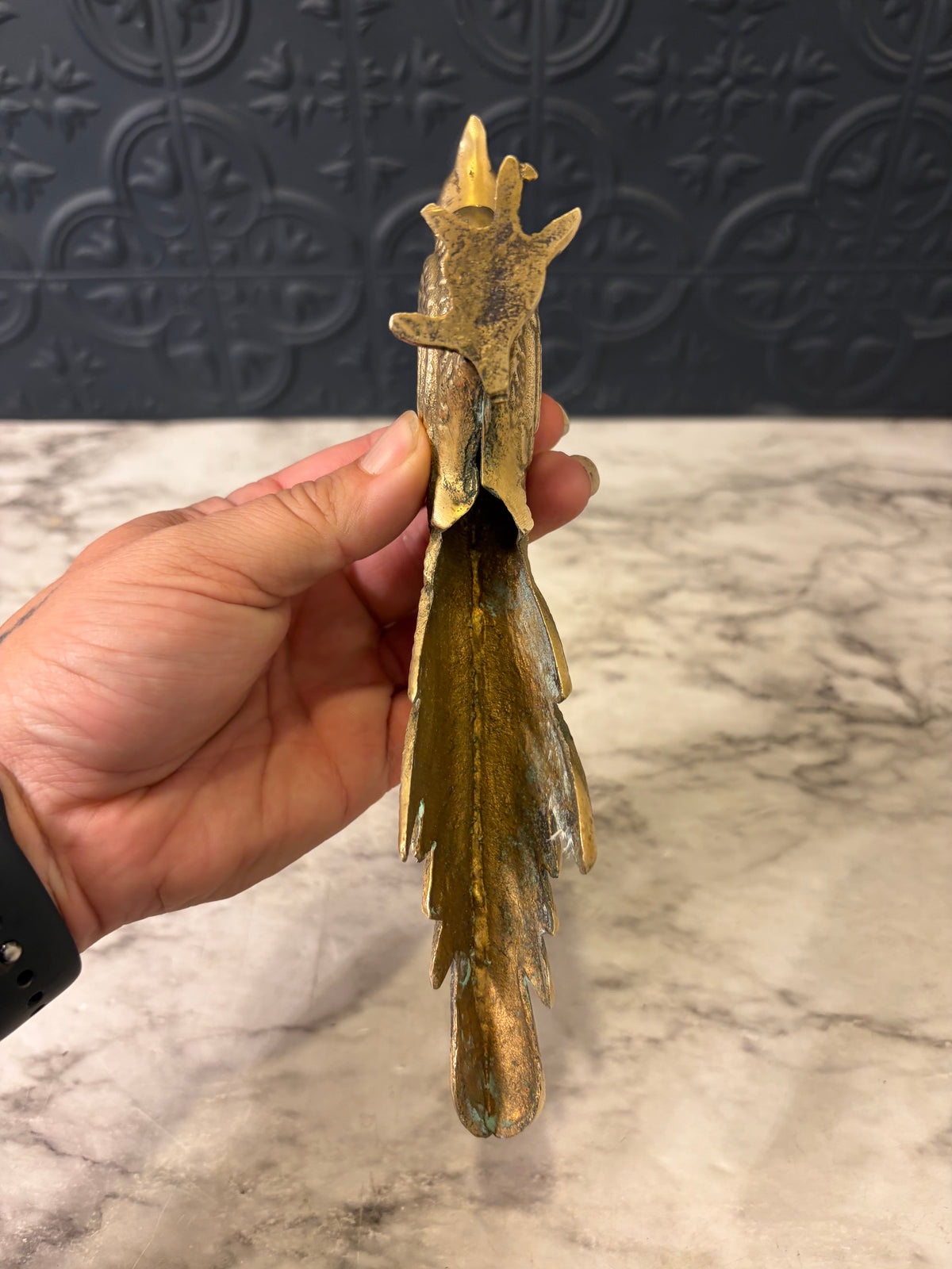 Brass Pheasant