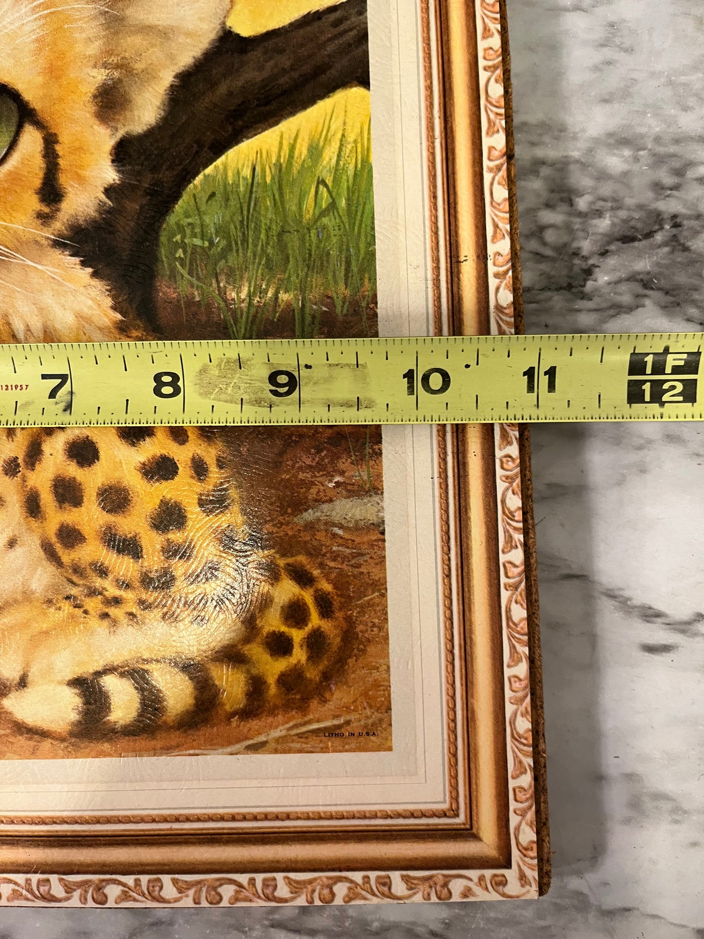 Vintage Big Eye Cheetah Print on Board