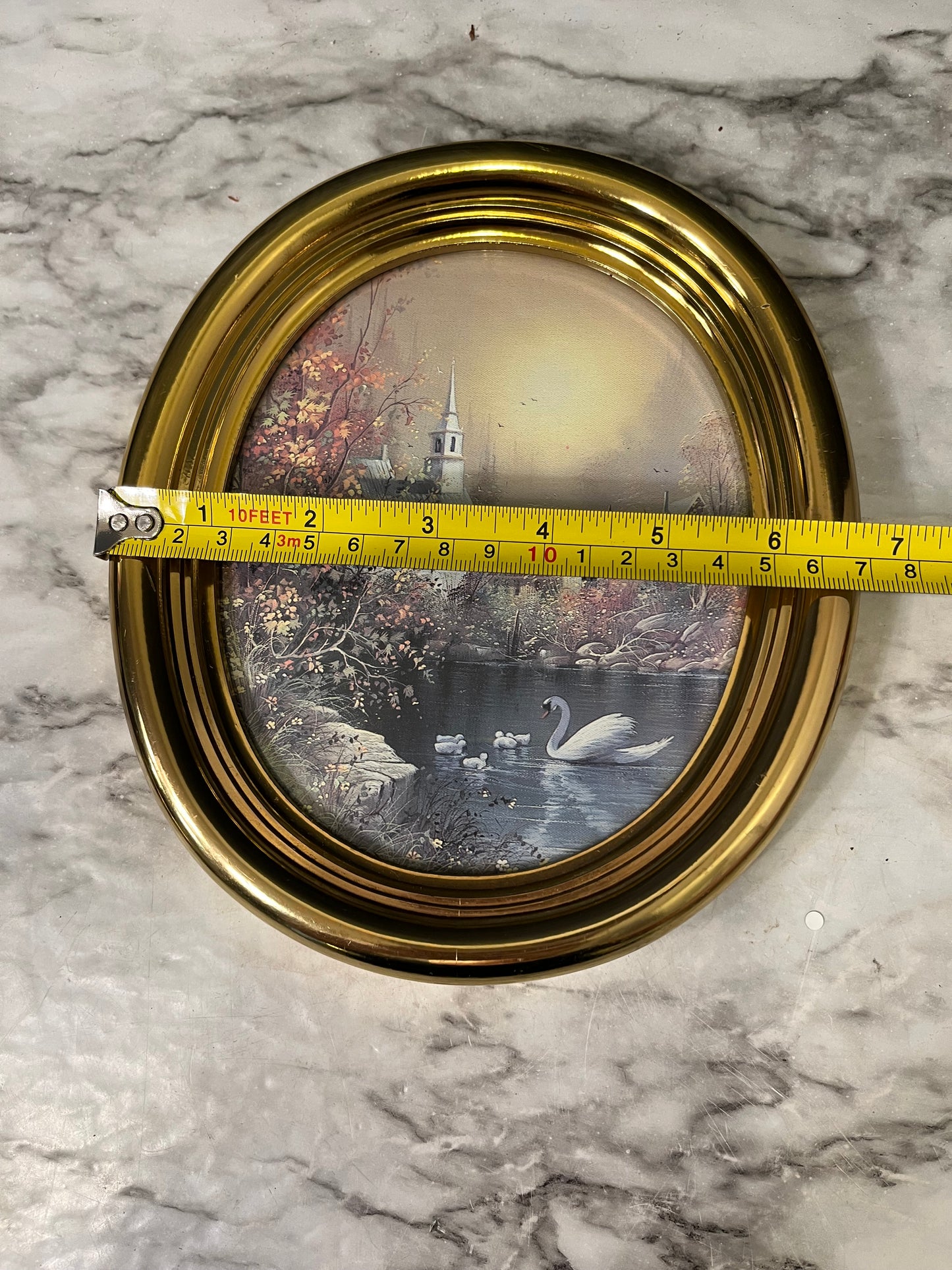 Oval Swan and 4 ducks in Gold Frame
