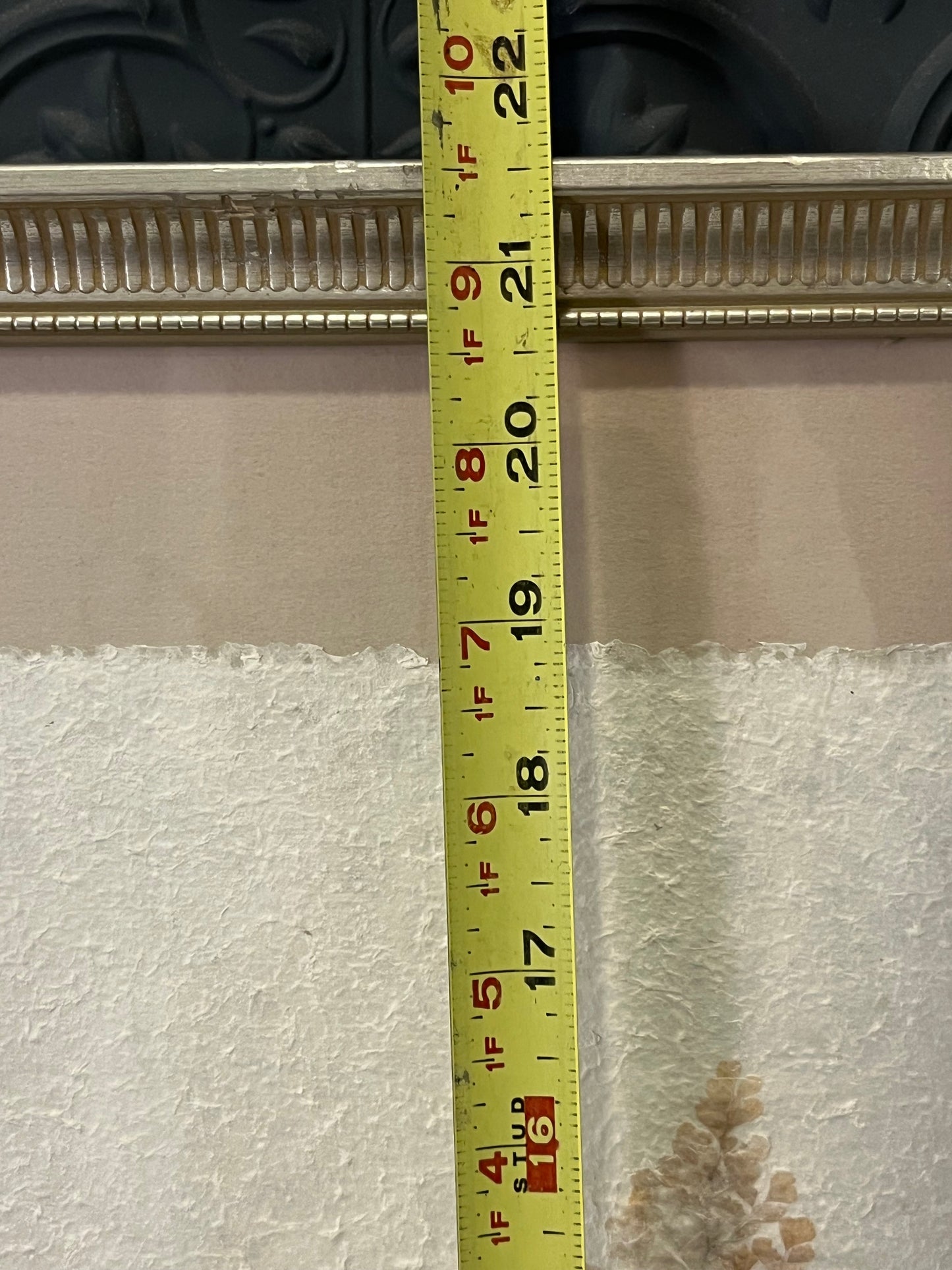 Pressed Herb Botanical Framed