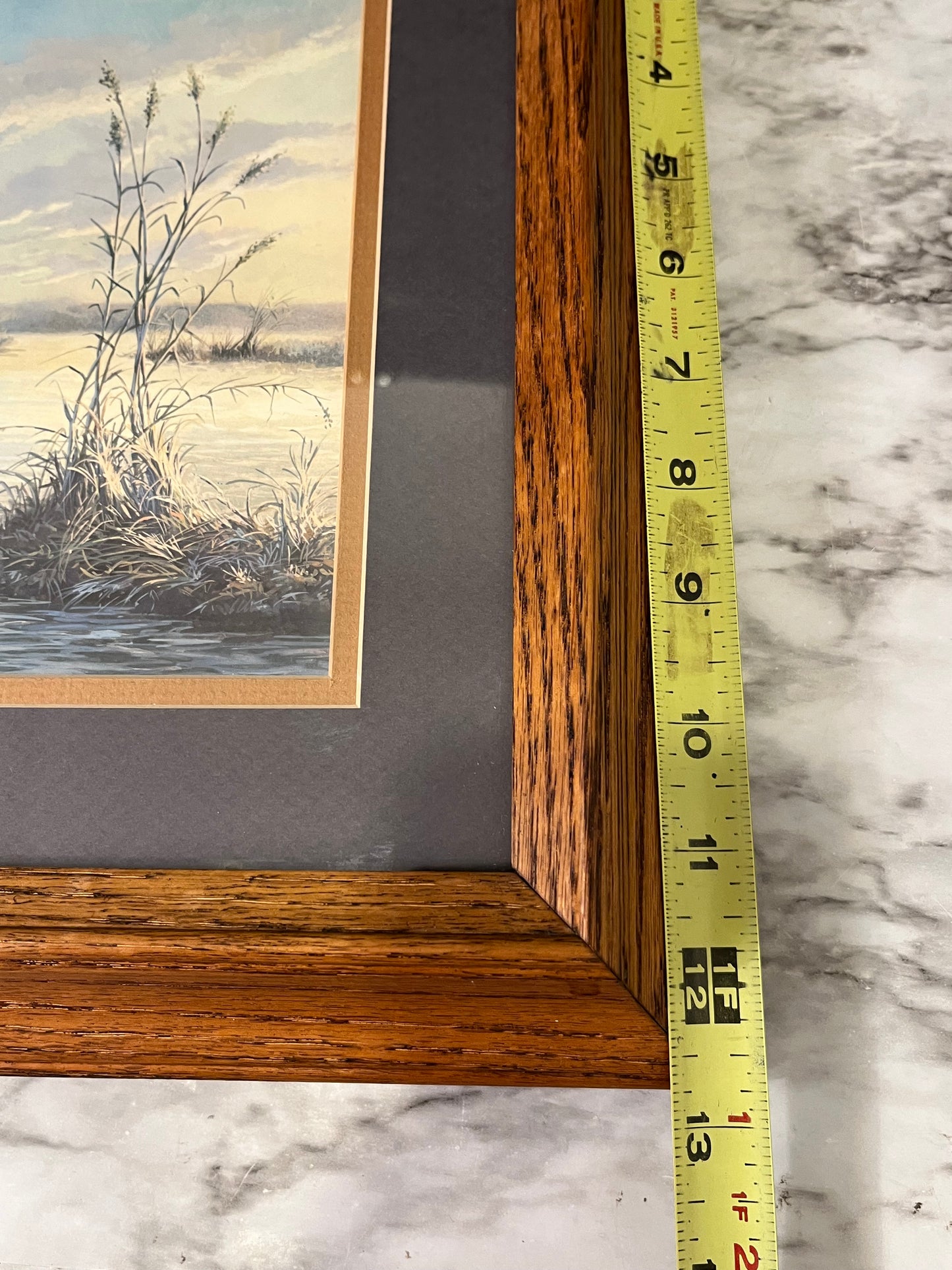 Duck Landing Framed Print