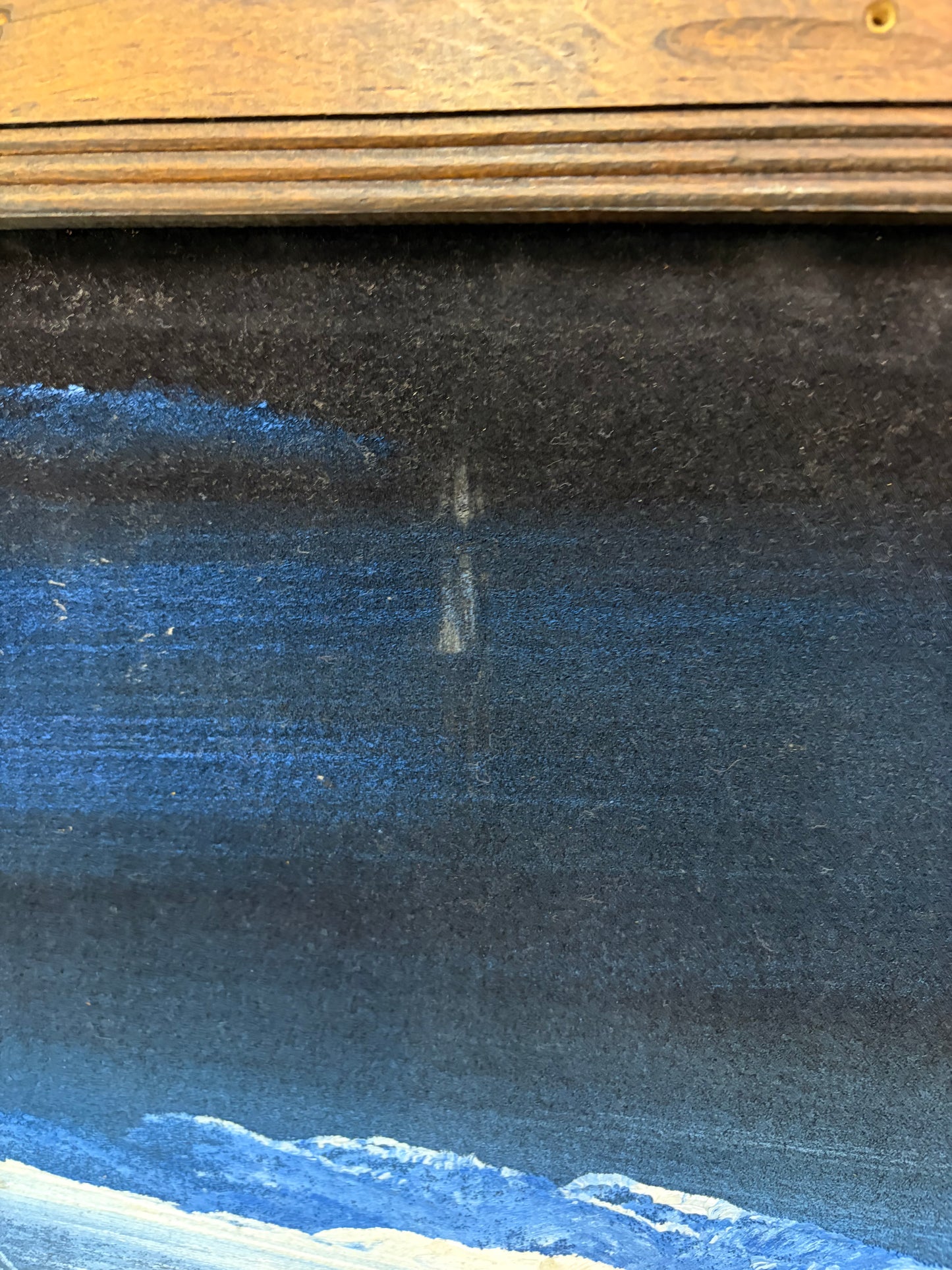 Cactus Black Velvet Painting