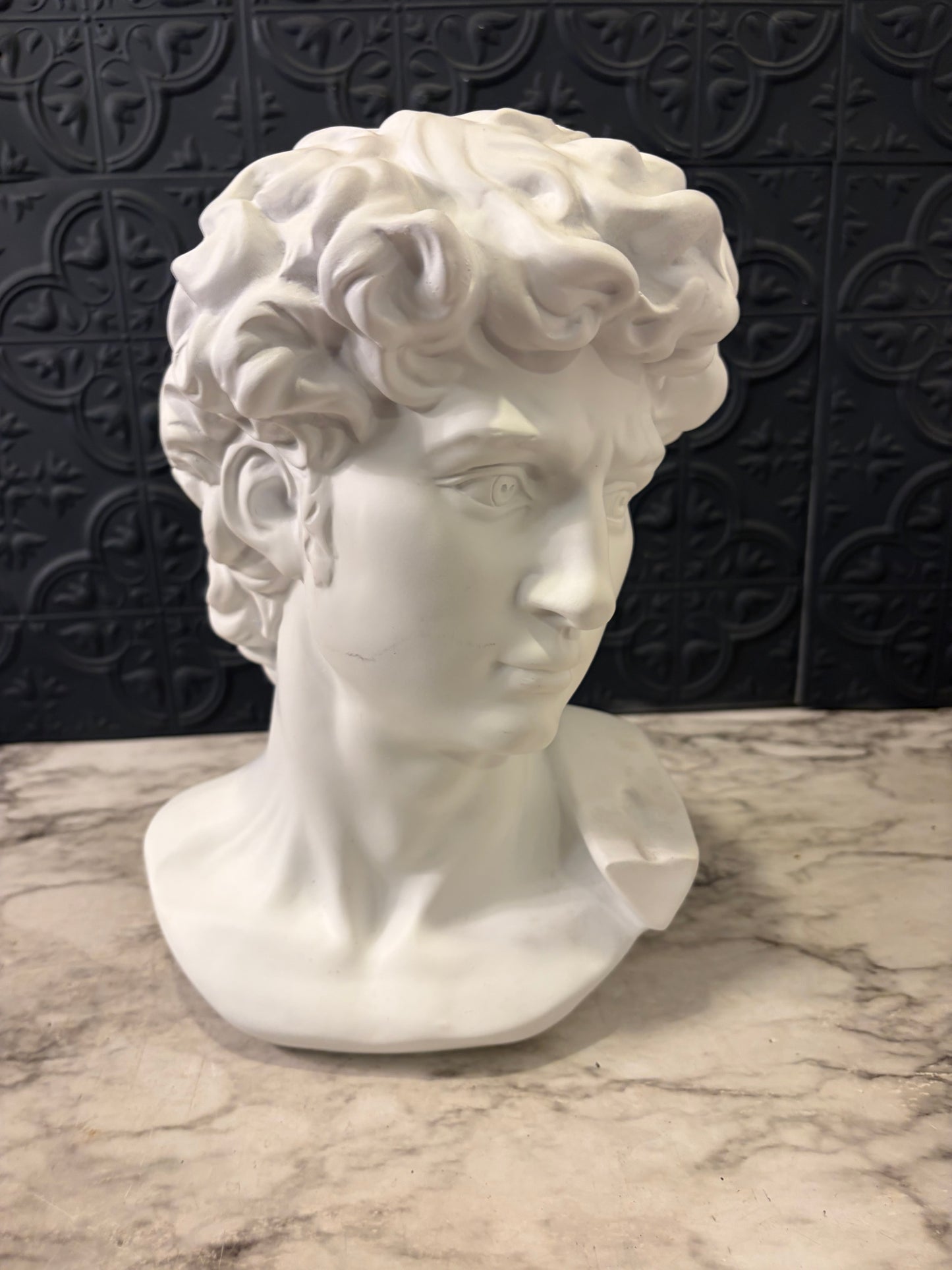Bust of David - Plastic