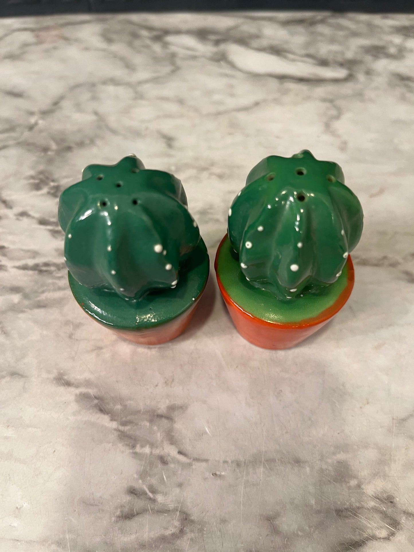 Small Cactus S & P
