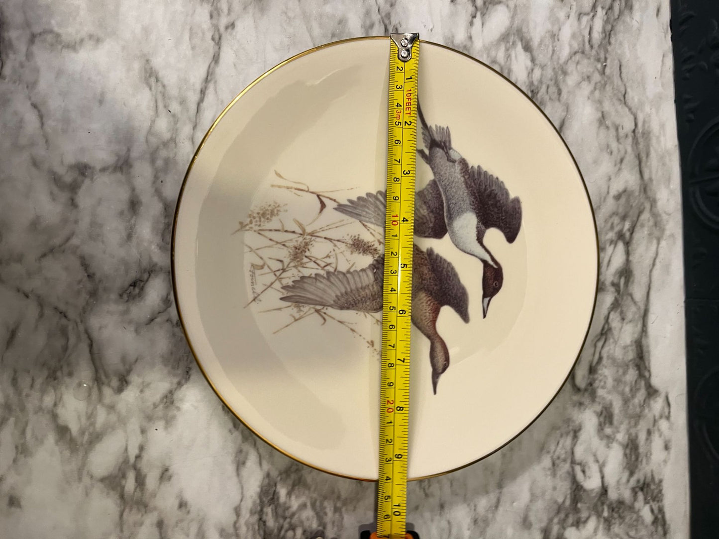 Pintail Ducks Over Sorghum On Plate