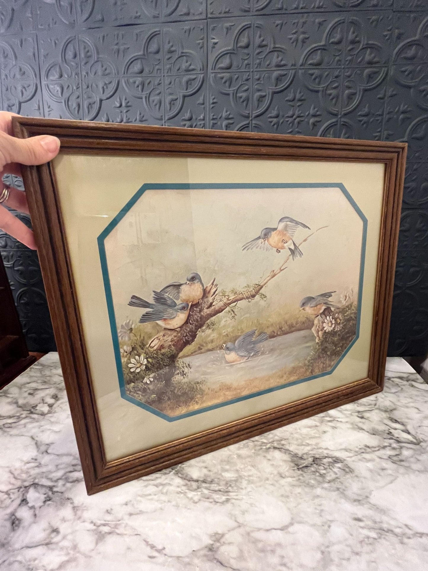 Print of Birds Bathing