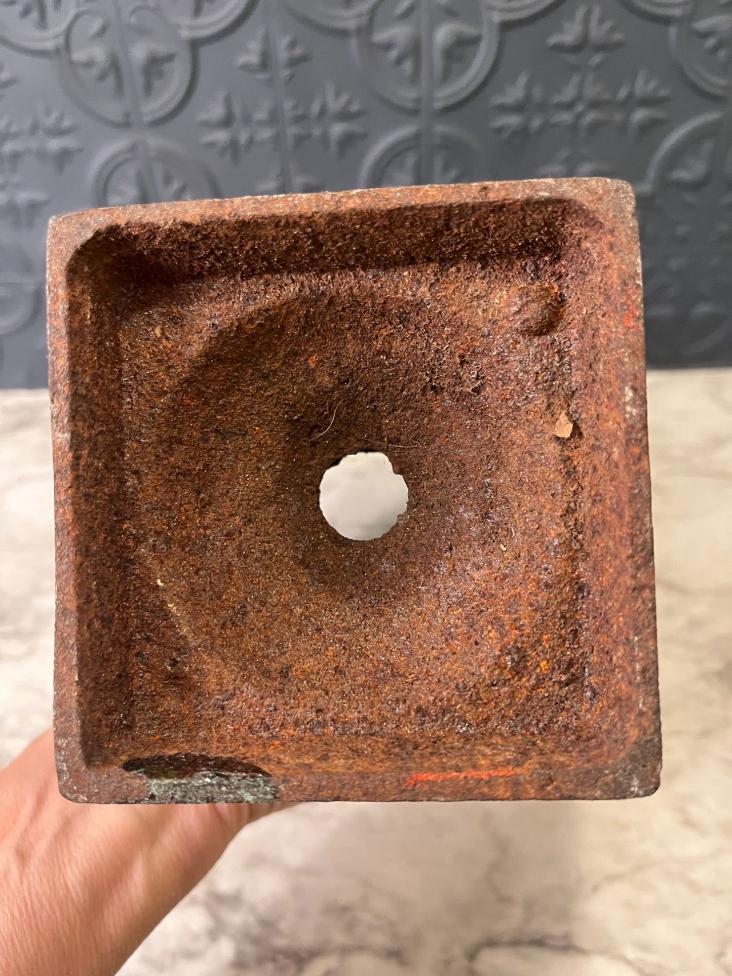 Heavy Cast Iron Trophy Planter