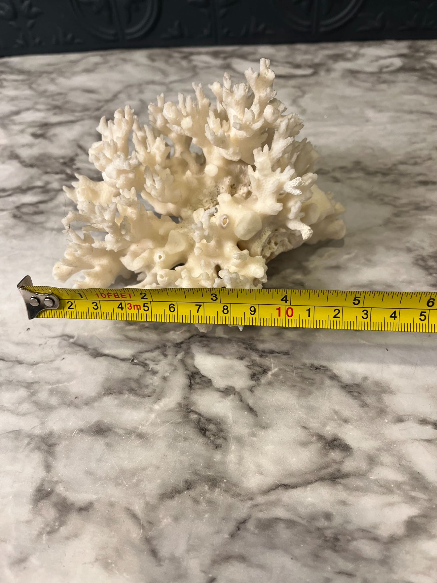 Coral
