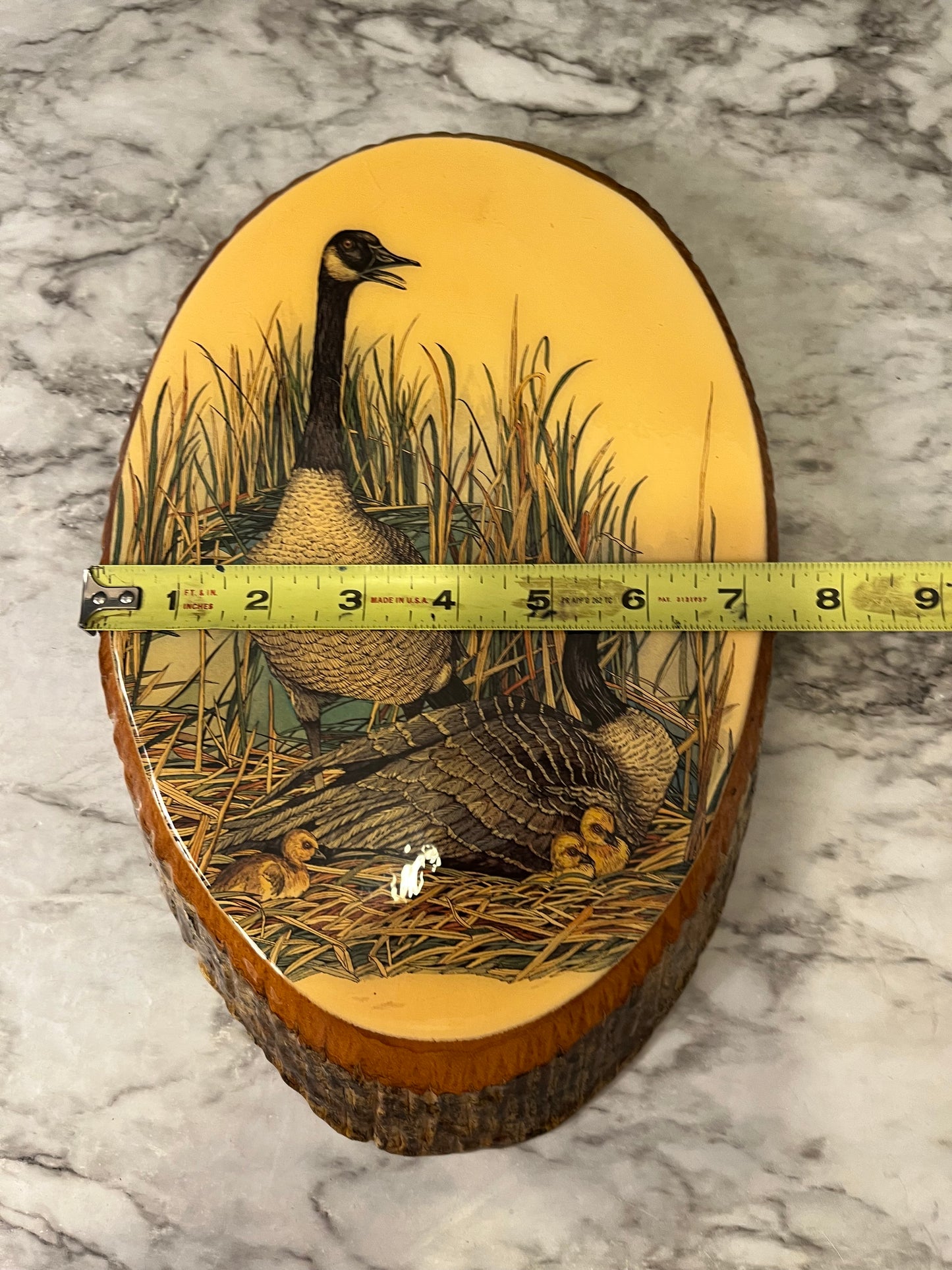 Laminated Duck On Live Edge