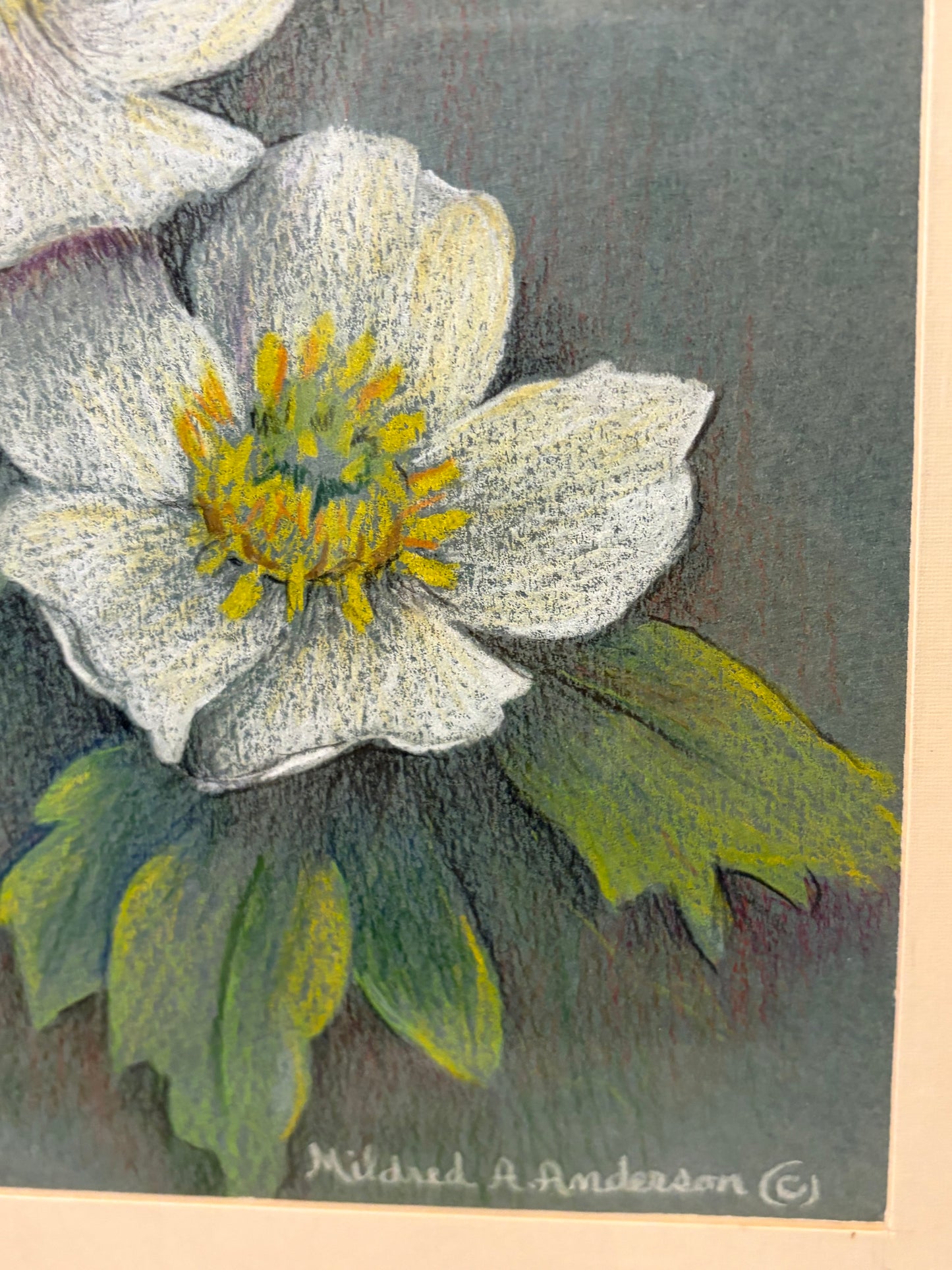 Hellebore Flowers Original Artwork by Mildred Anderson