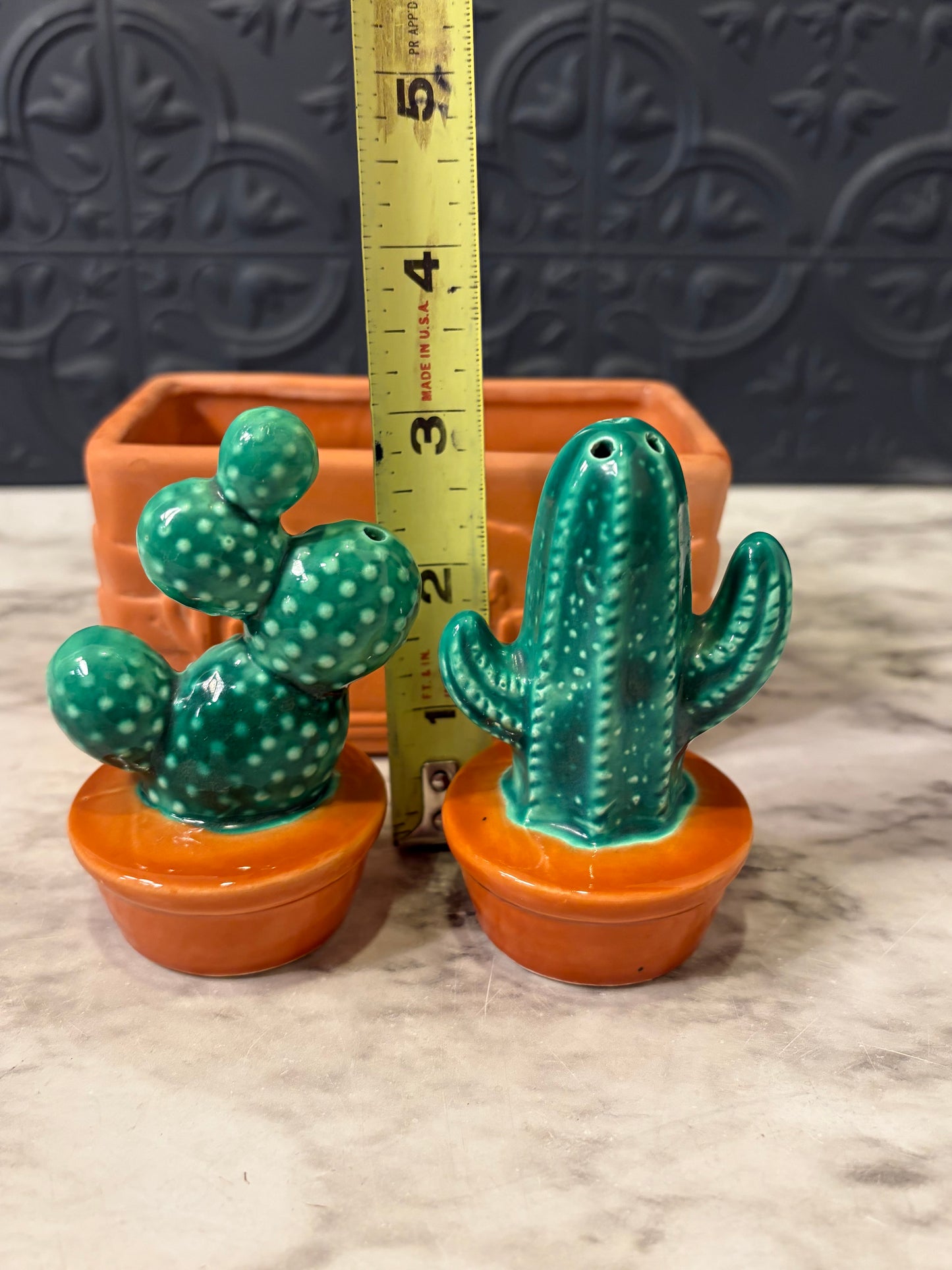 Cactus Salt and Pepper with Terracotta holder