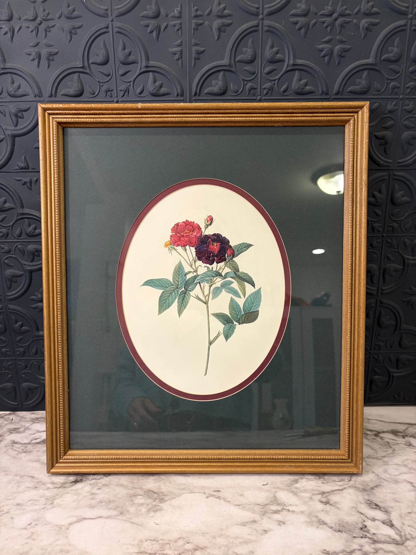 Framed Print "Rose of Van Eden"