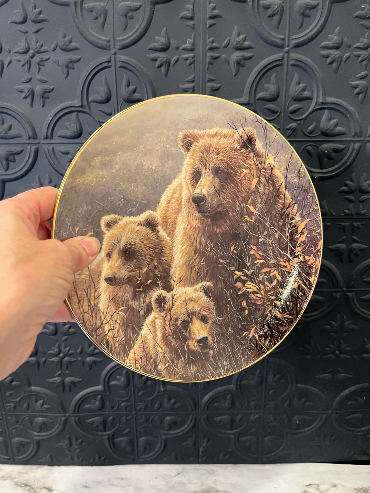 Denali Family Bears collectors plate
