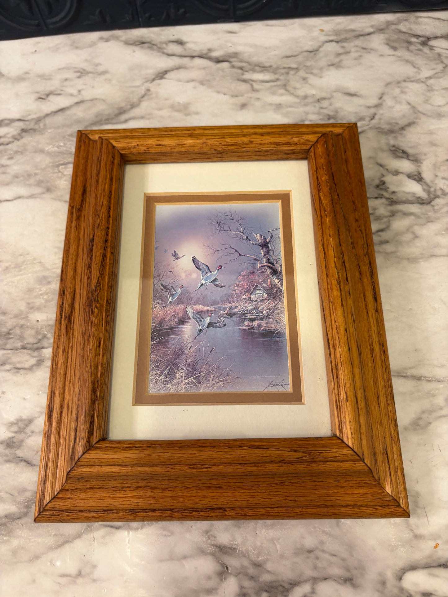 Flying Ducks Print by Orpinas in Wood Frame