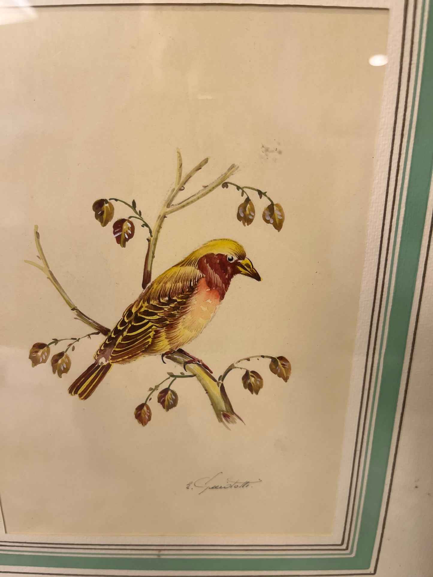 Vintage Print Bird Framed Yellow