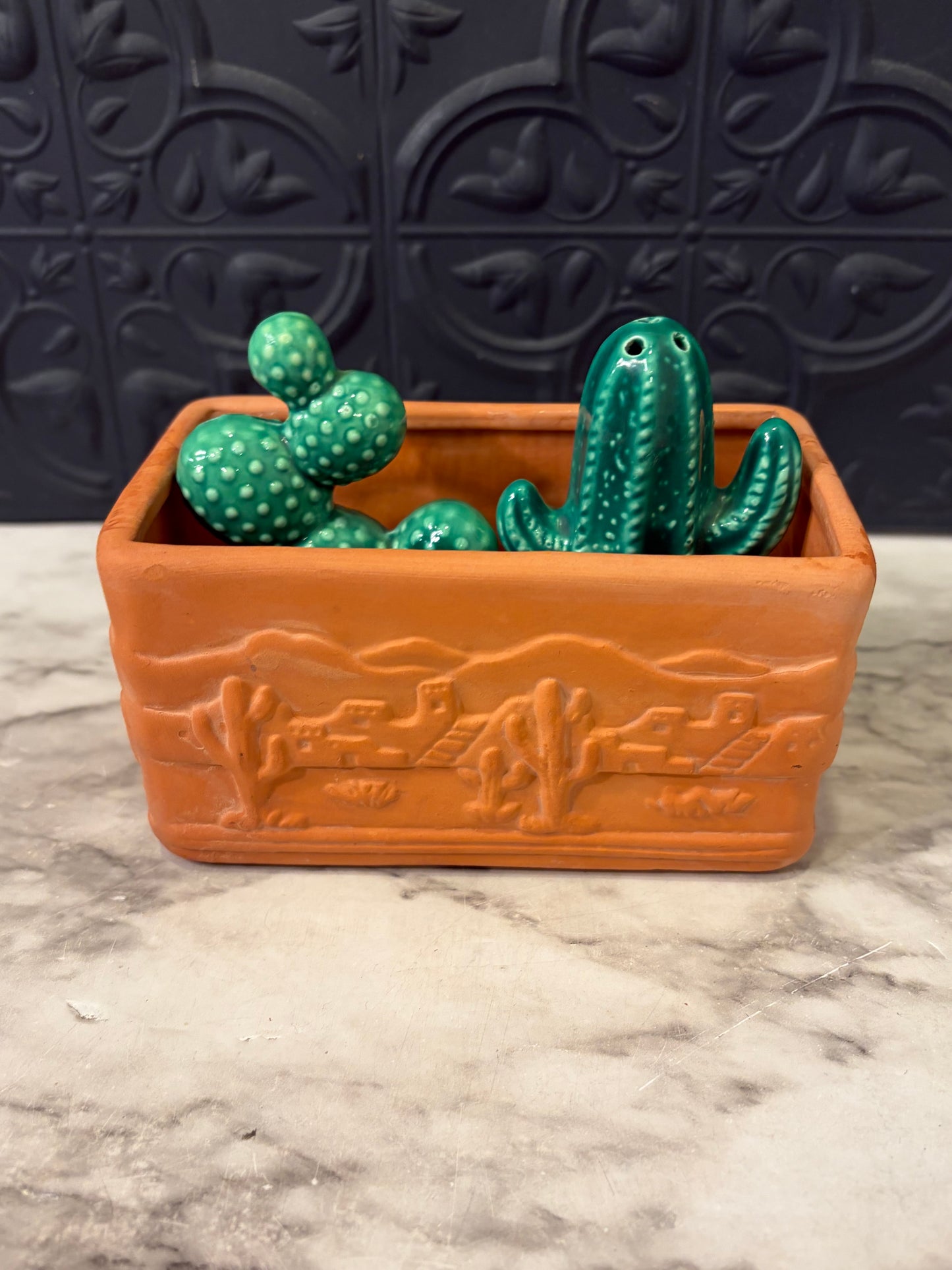Cactus Salt and Pepper with Terracotta holder