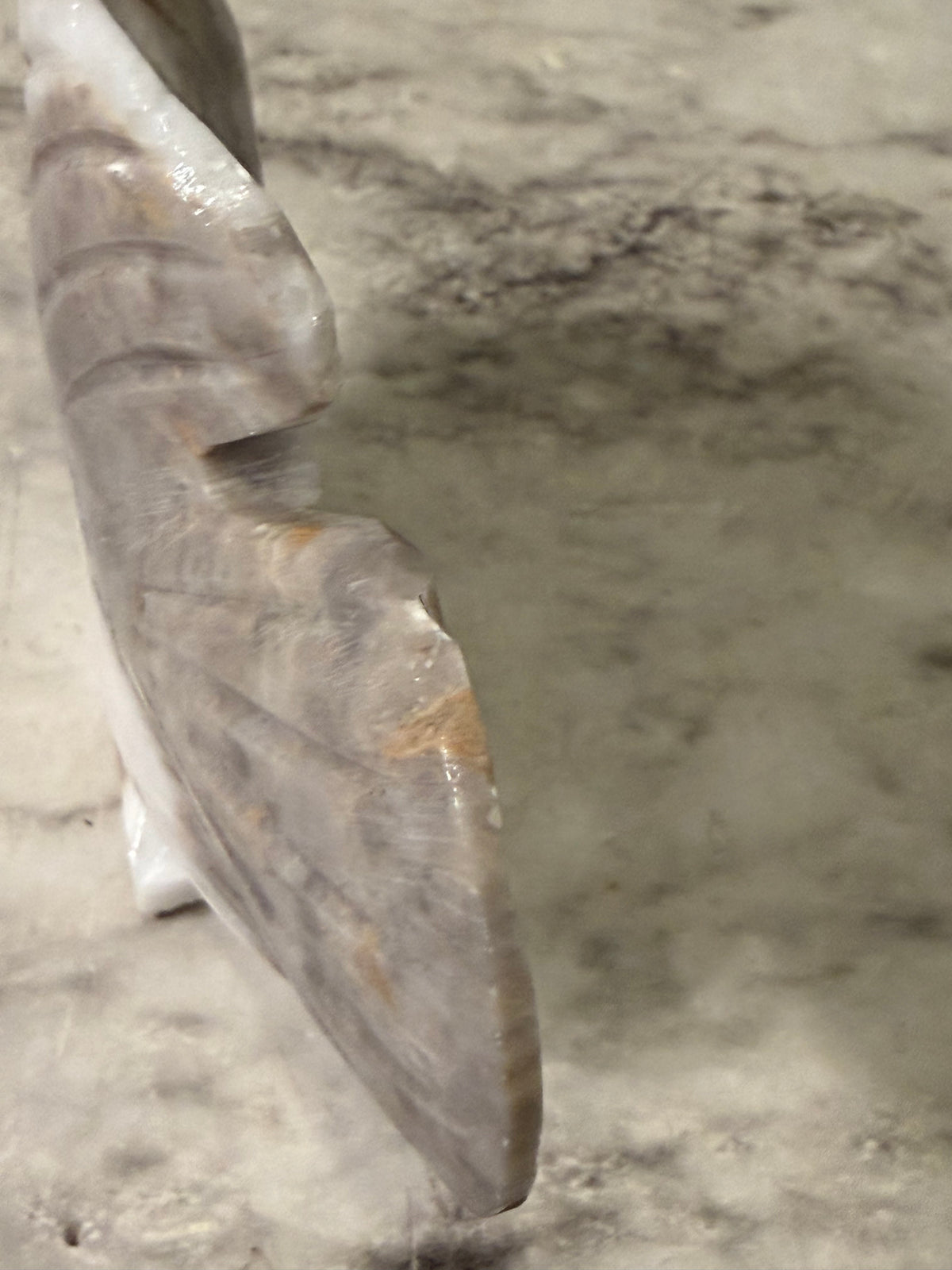 Carves Soapstone 2tone Fish AS IS