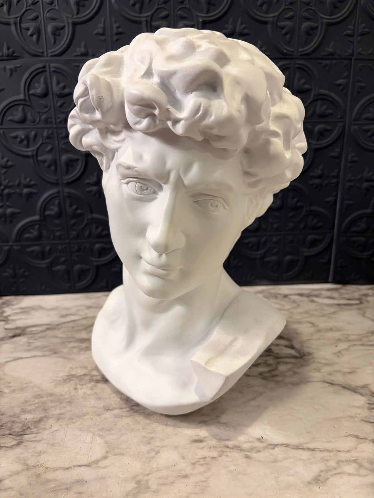 Bust of David - Plastic