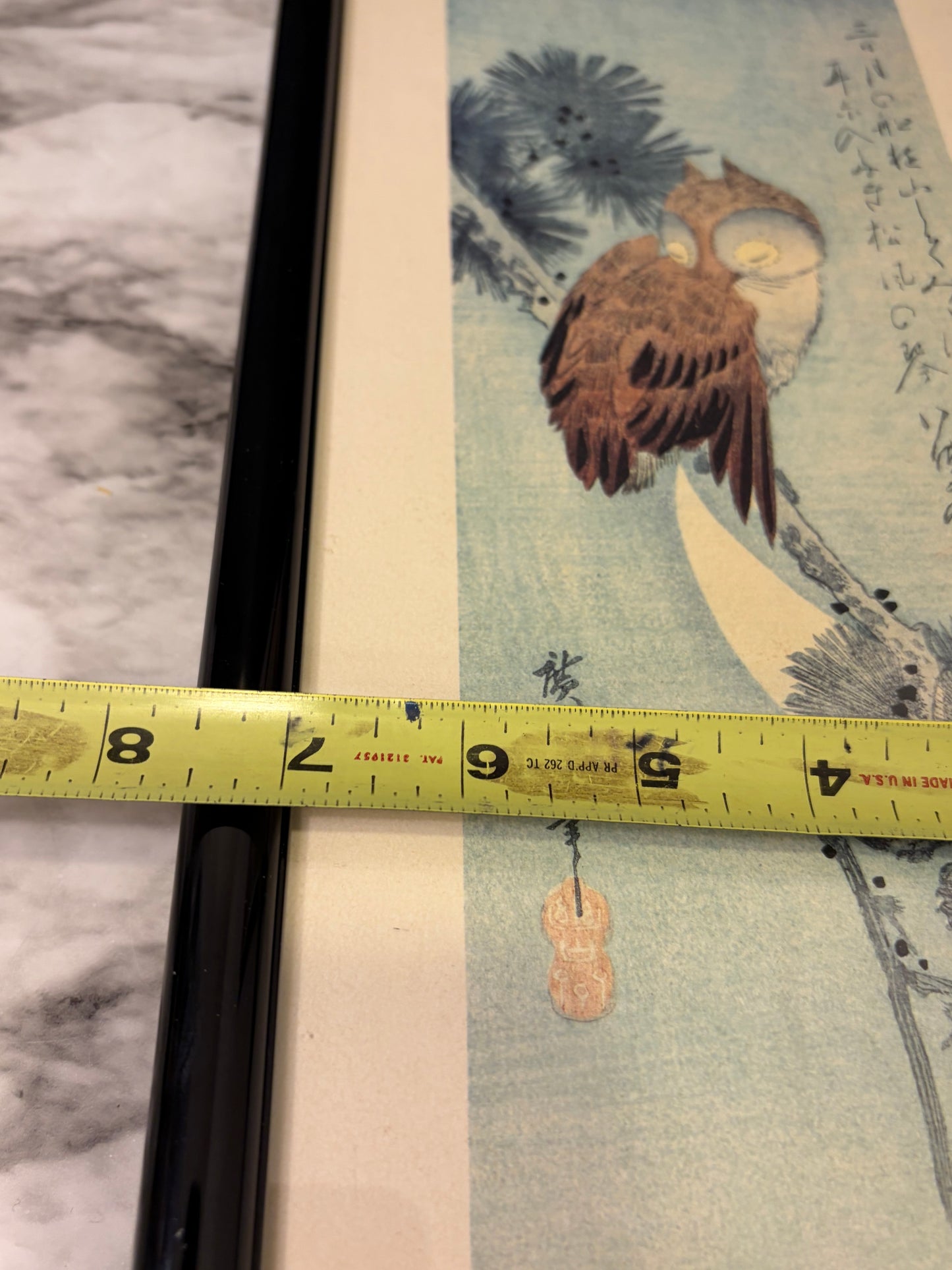 Black Framed Horned Owl