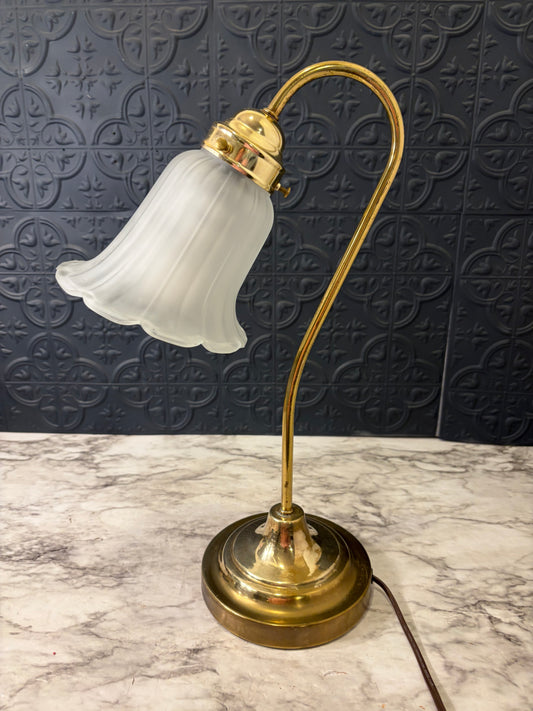 Brass Gooseneck Lamp with textured Satin Glass Shade
