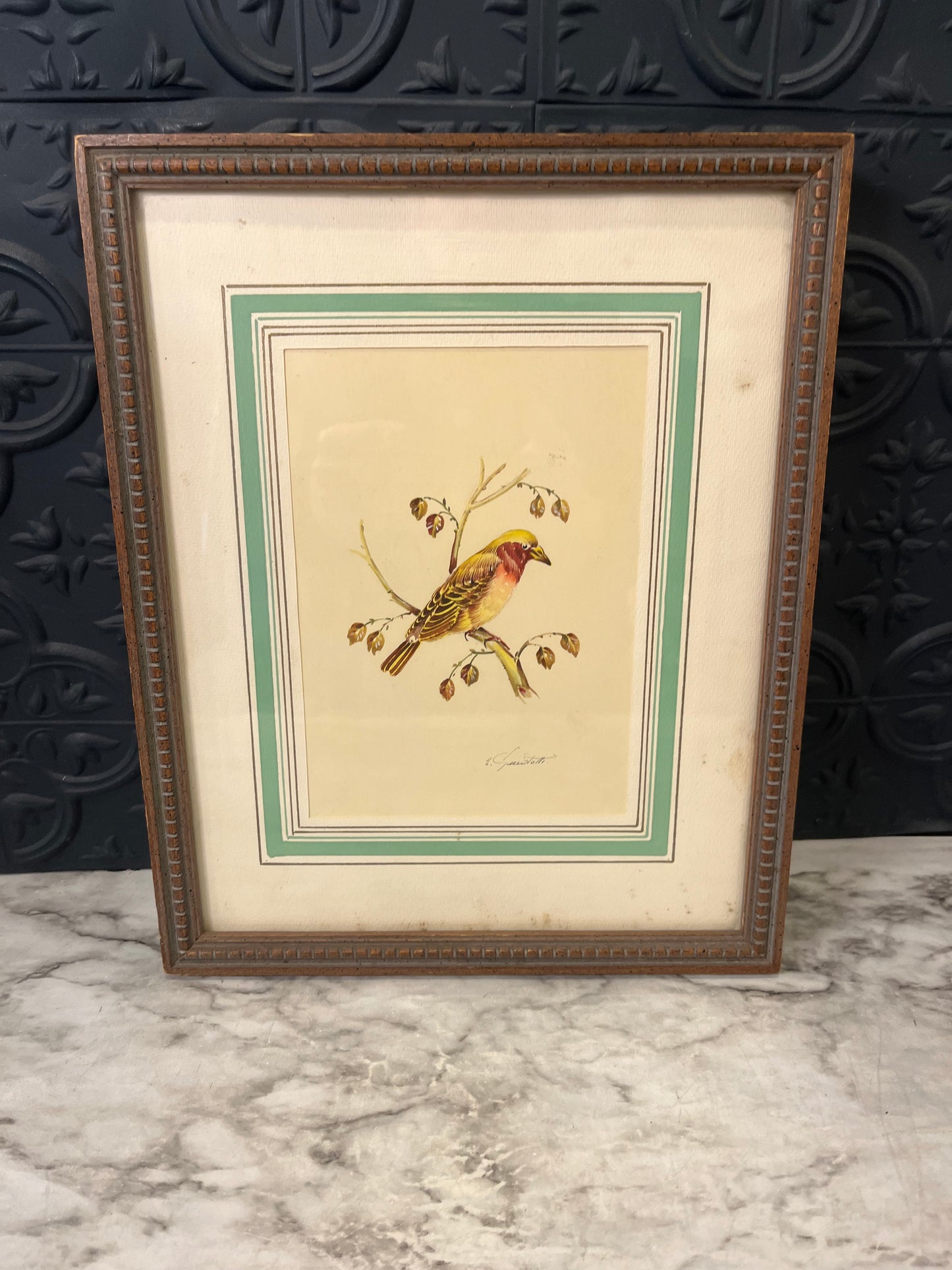 Vintage Print Bird Framed Yellow