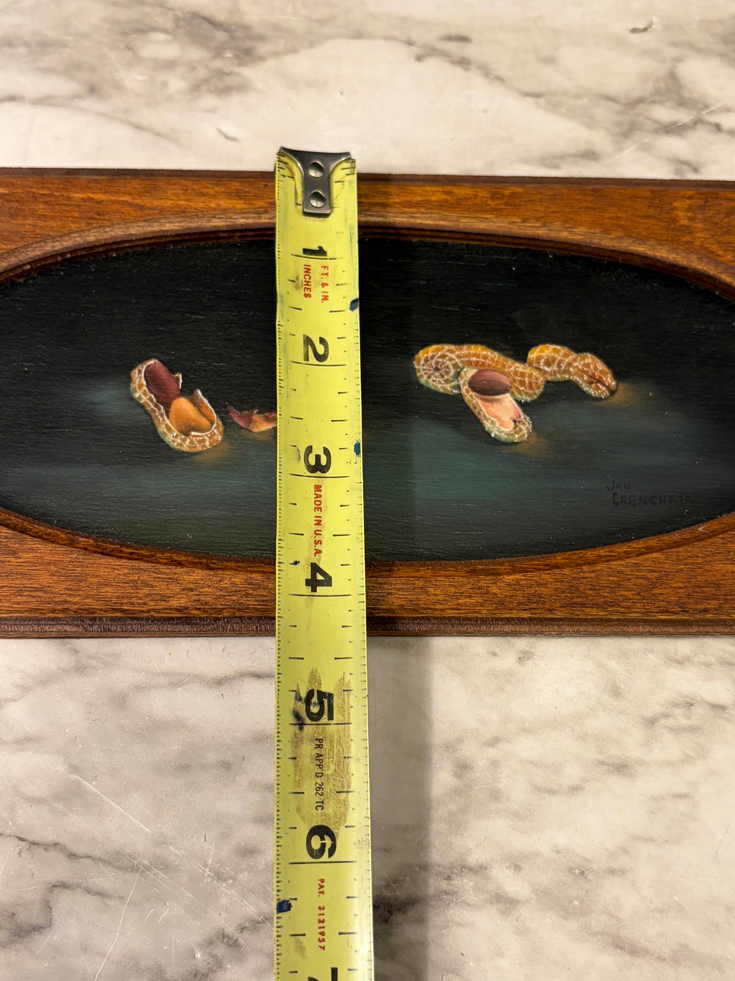 Peanut Painting on Wood