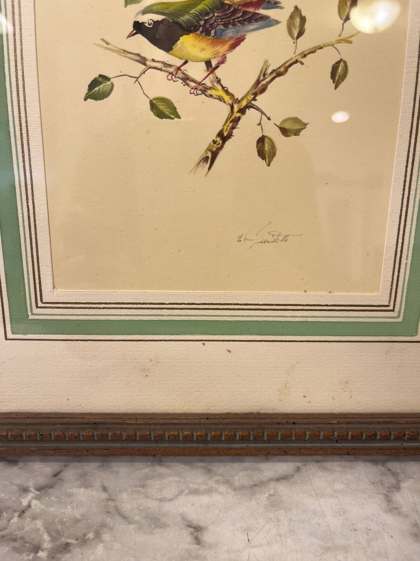 Vintage Print Bird Framed green,yellow,blue