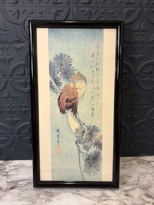 Black Framed Horned Owl