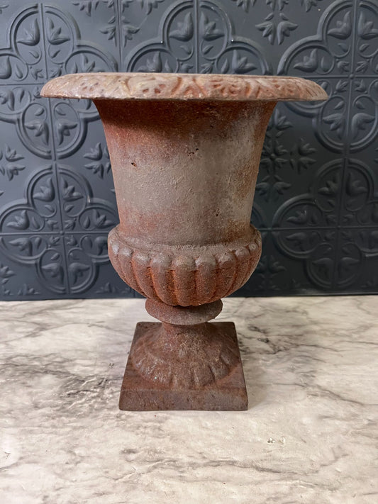 Heavy Cast Iron Trophy Planter