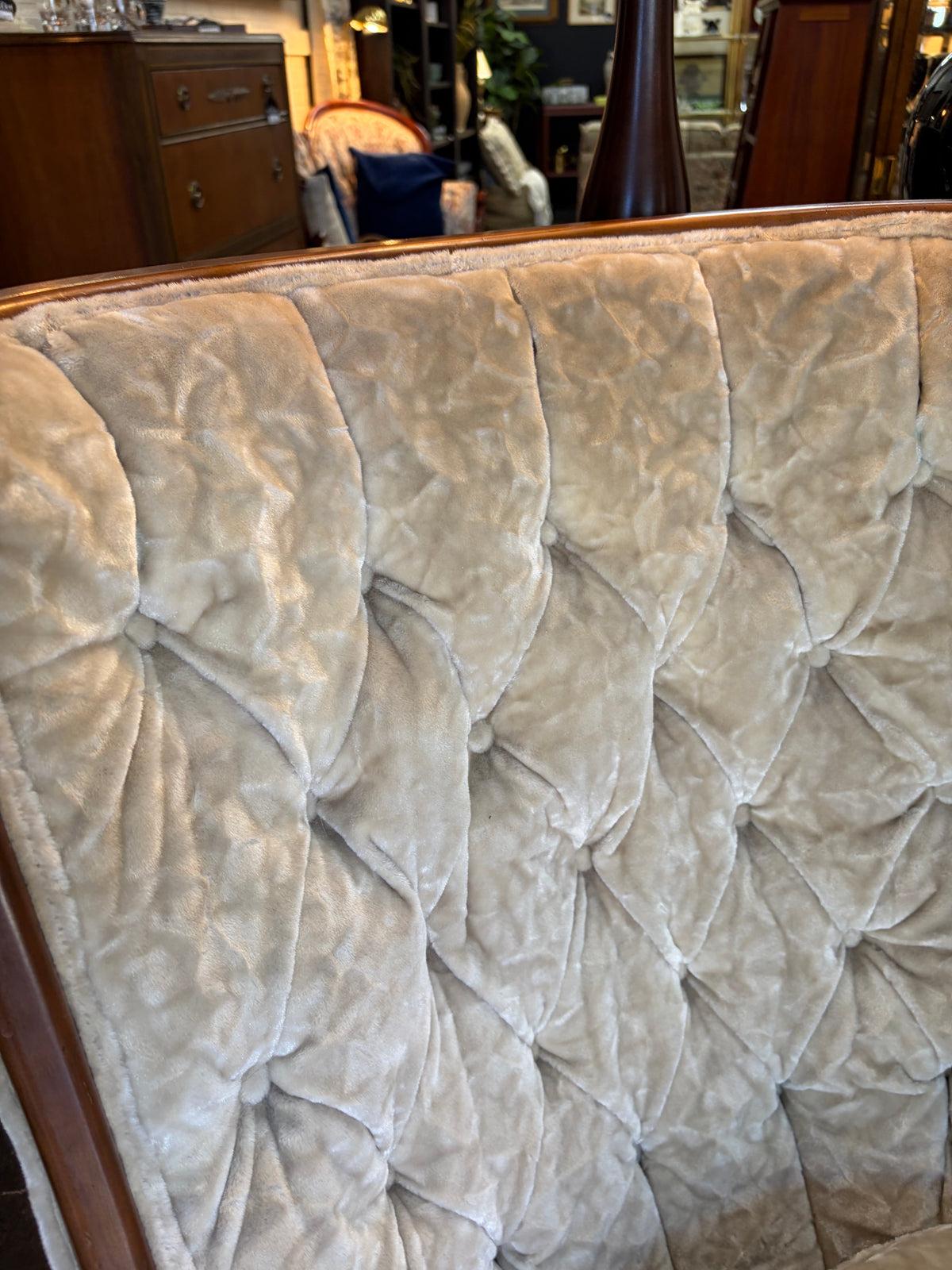 Cream Crushed Velved Curved Back Arm Chair