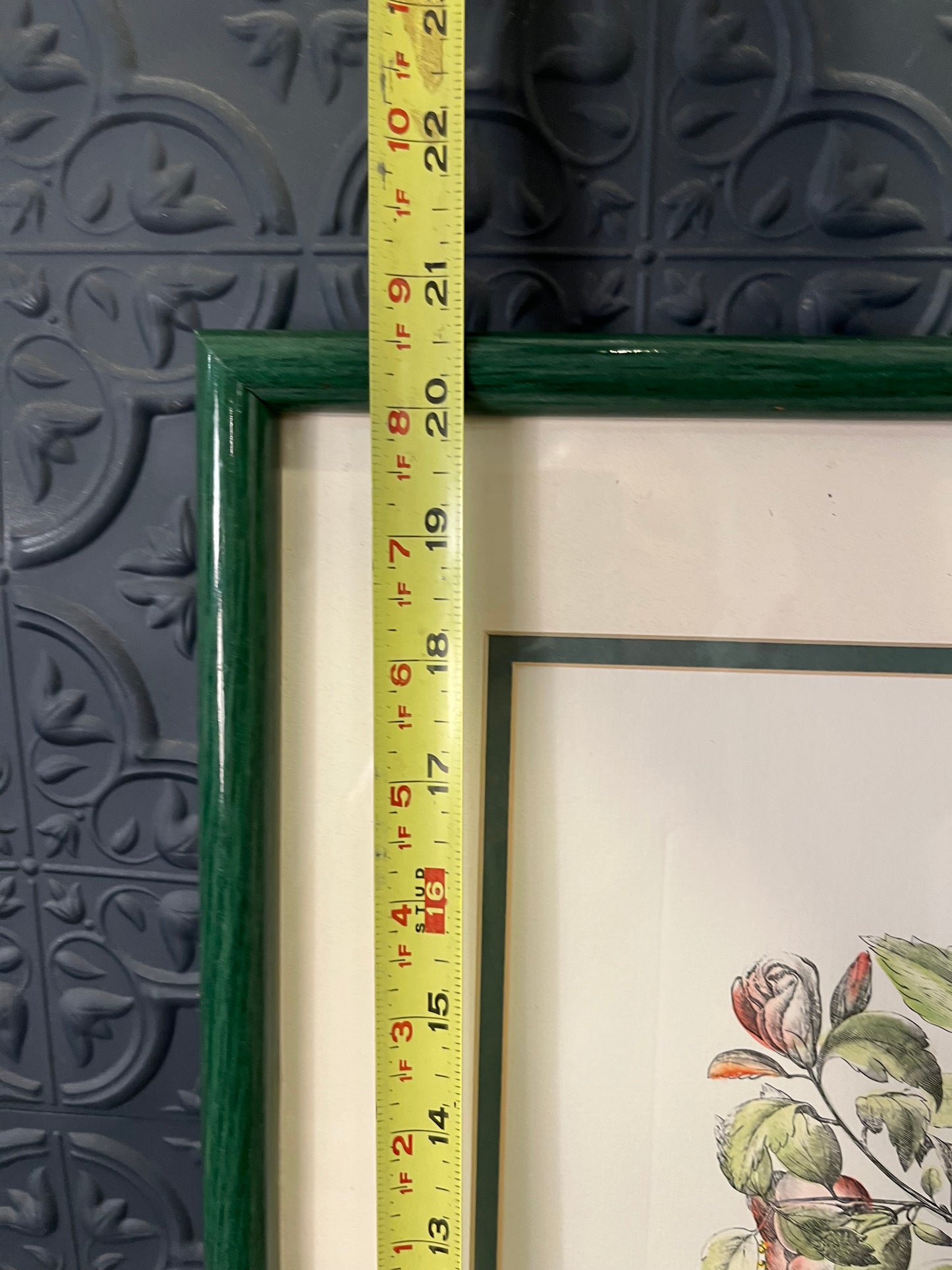 Alcea Syriaca Print in Green Frame