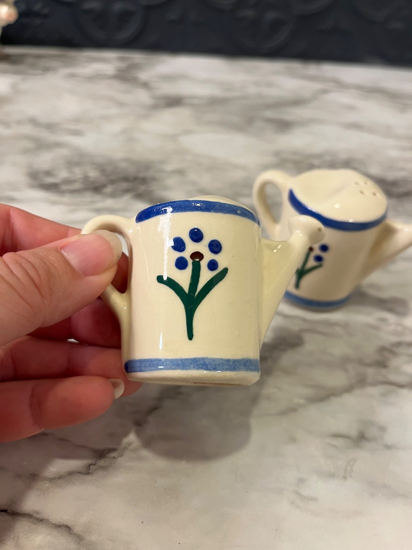 Shawnee Pottery watering can Salt and pepper shakers