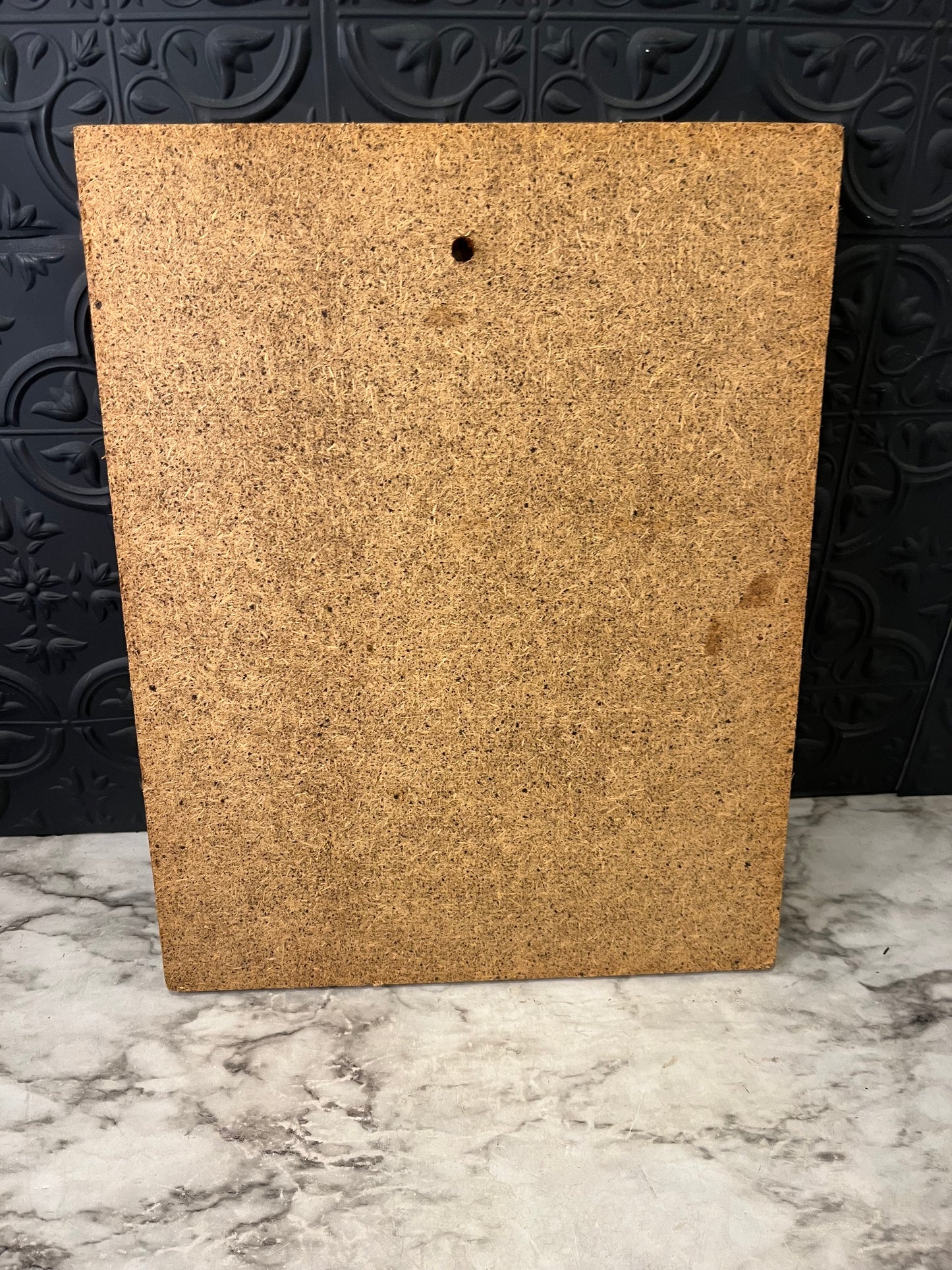 Vintage Big Eye Cheetah Print on Board