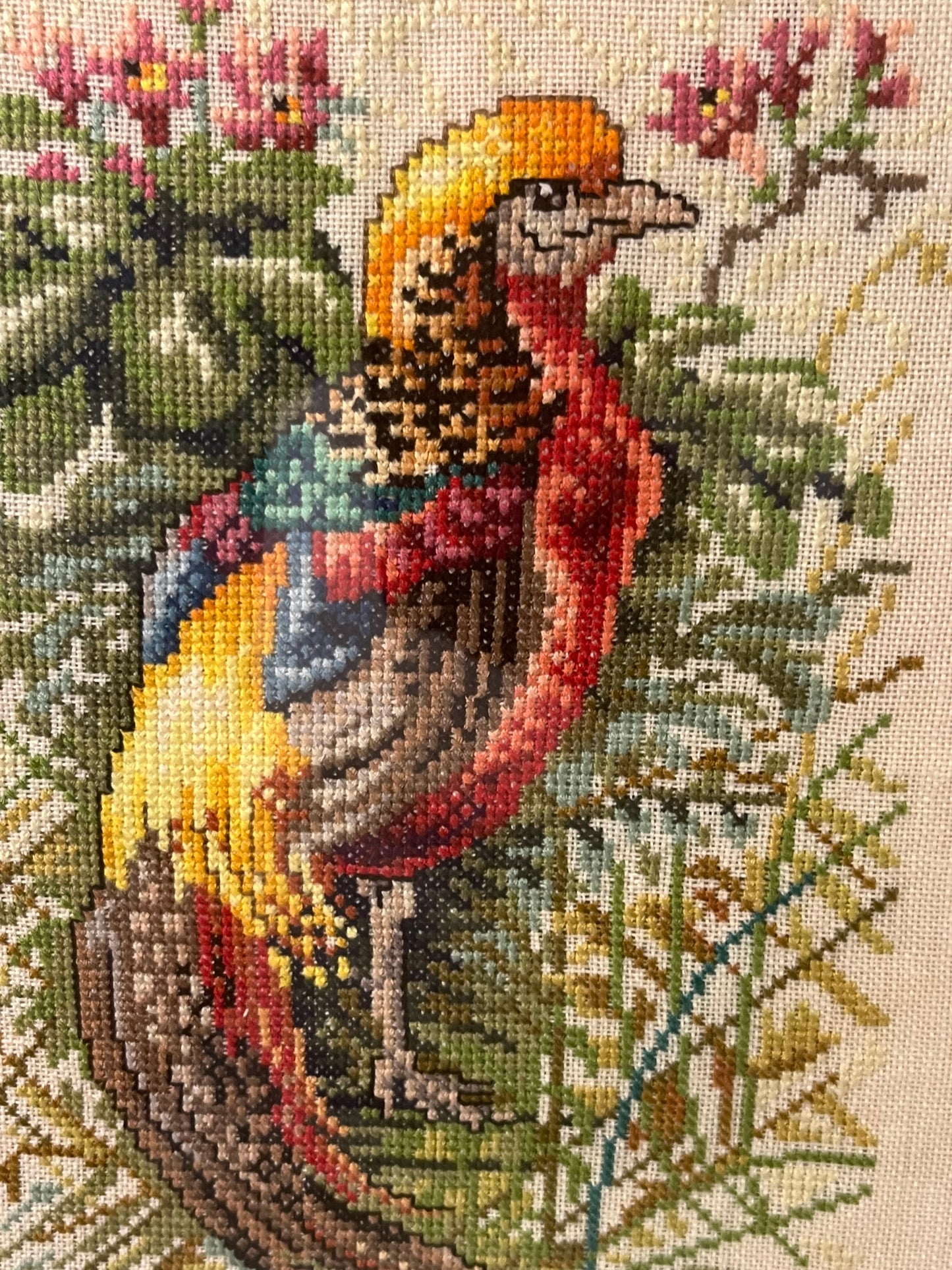 Cross Stitch of Pheasant Framed