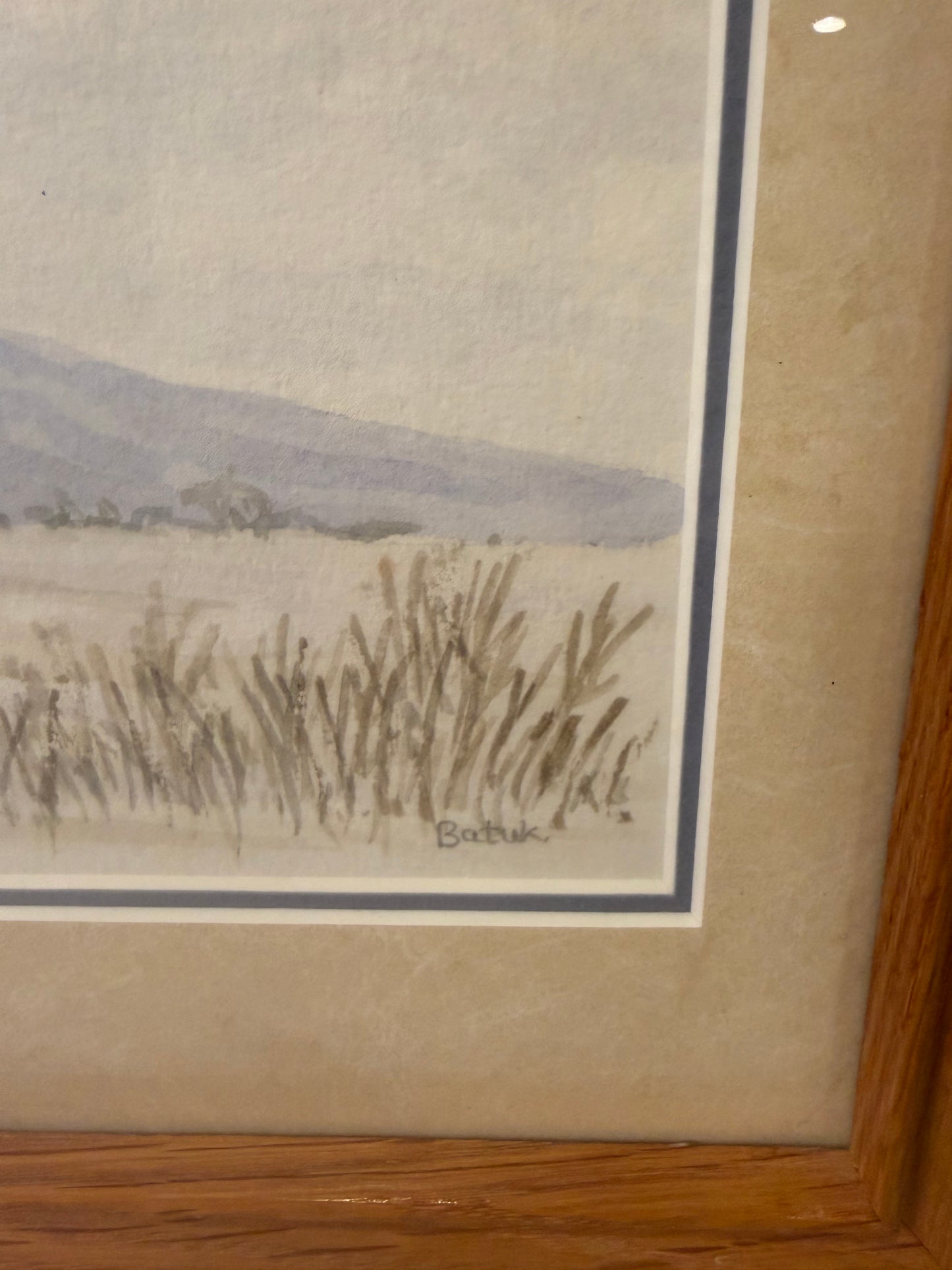 Original Watercolor by Bautk of Desert