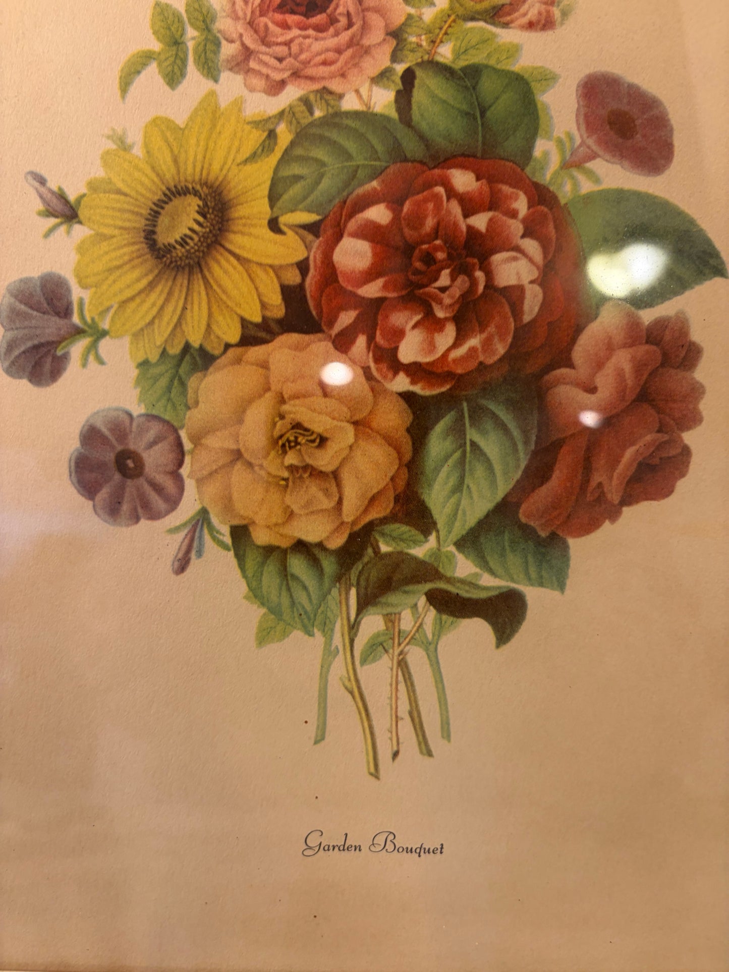 Garden Bouquet Prevost Print Framed