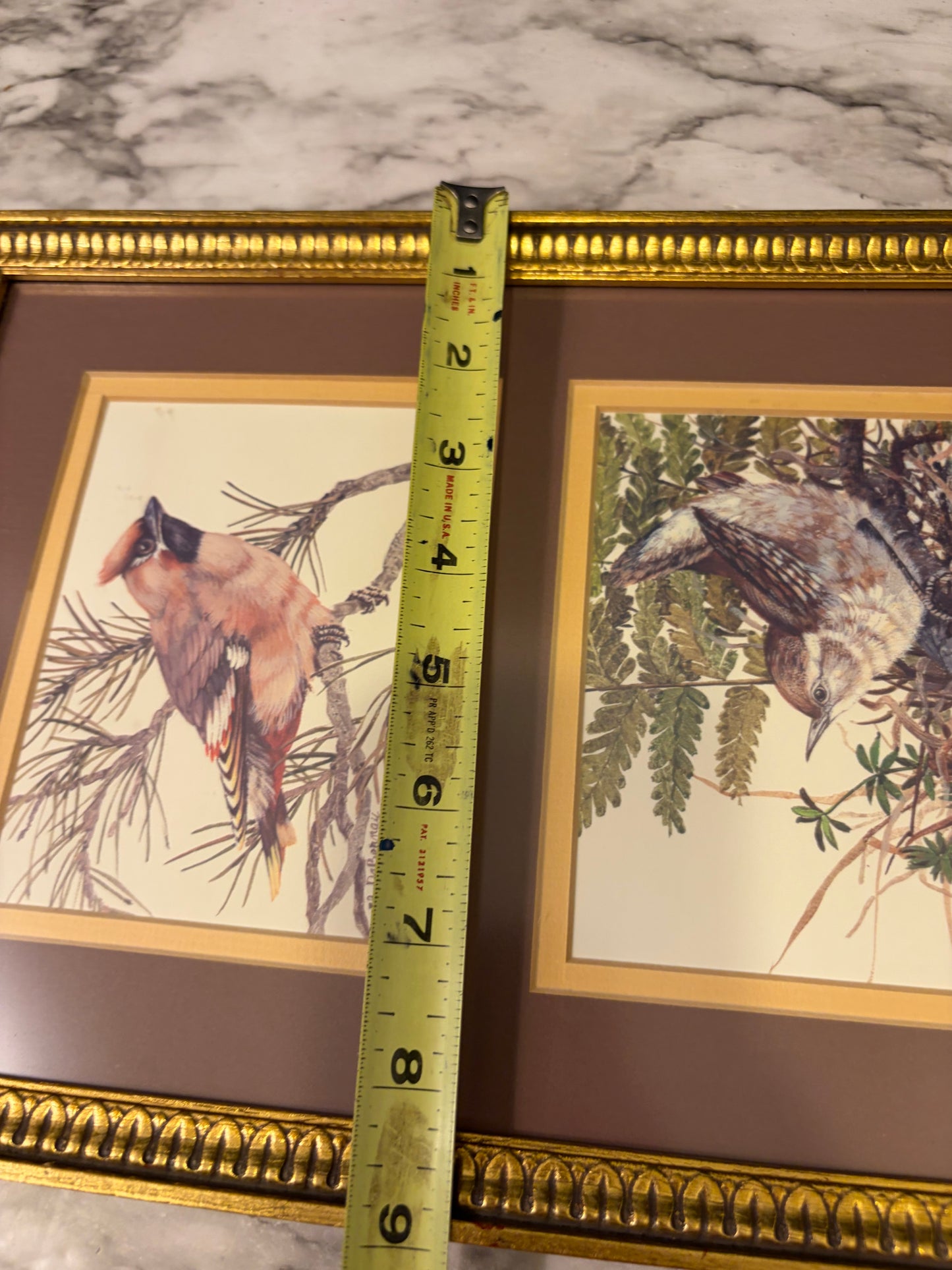 Triple Bird Print Framed