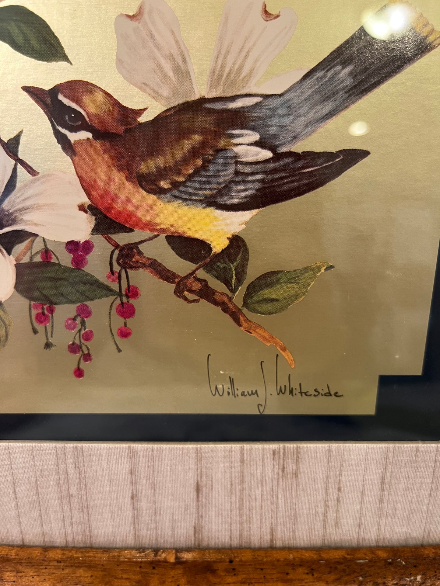 Birds on Dogwood Metallic Framed
