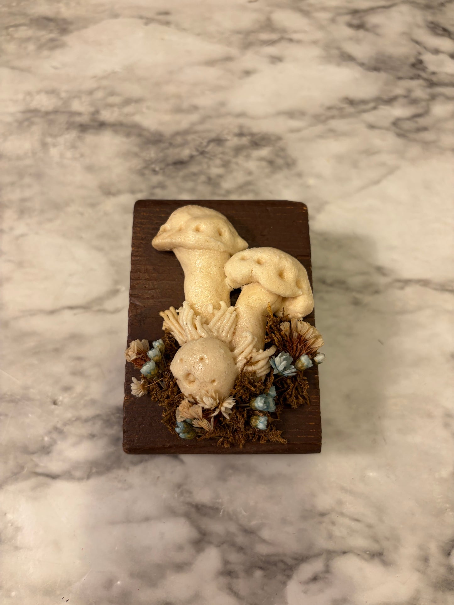 Handmade Mushrooms on Wood Block Sm.